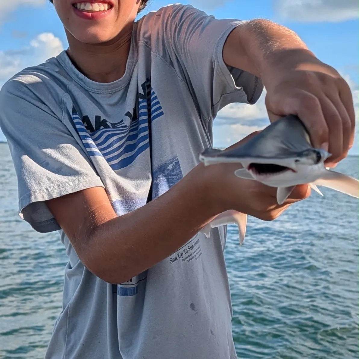Bonnethead shark caught on Fishbrain