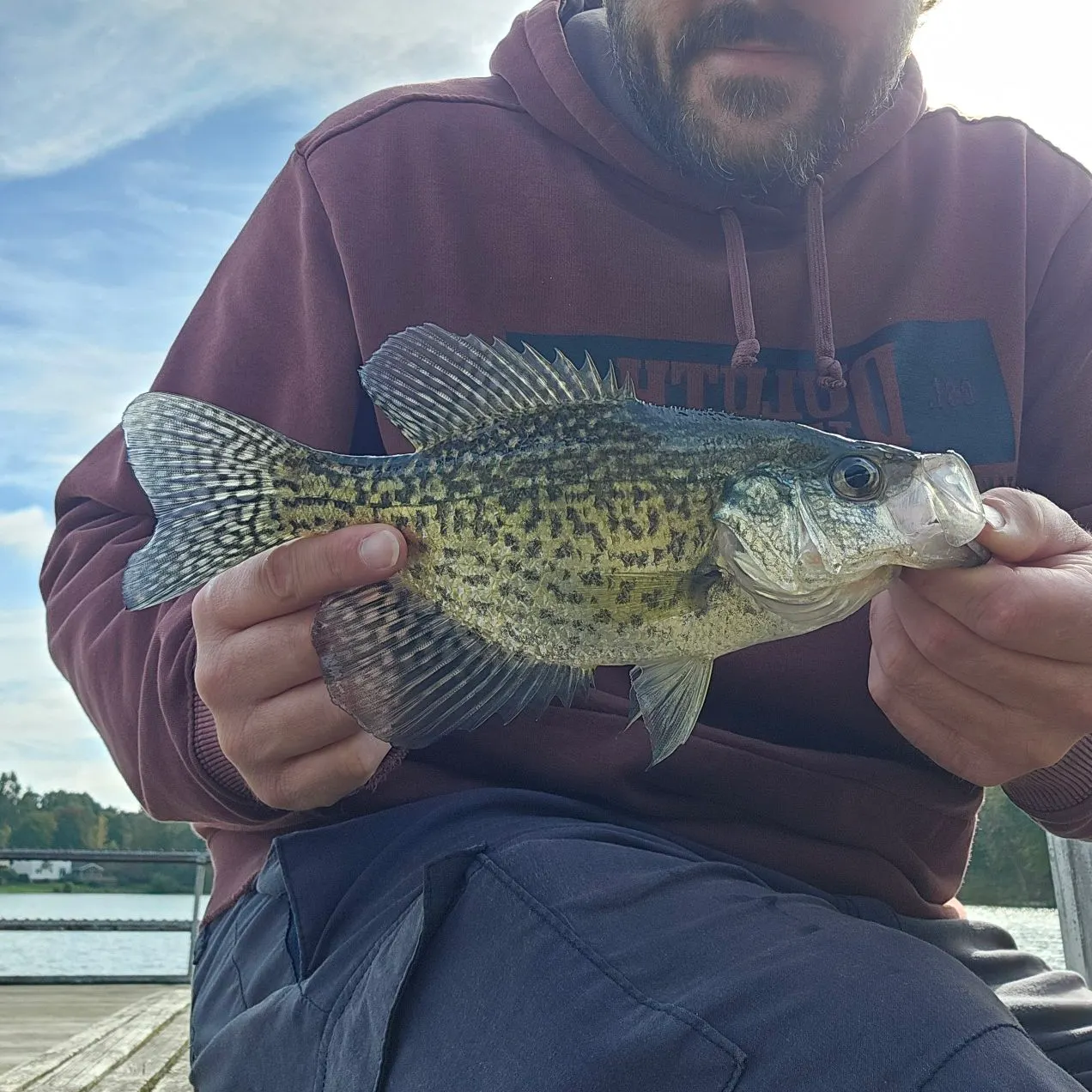 Black crappie caught on Fishbrain