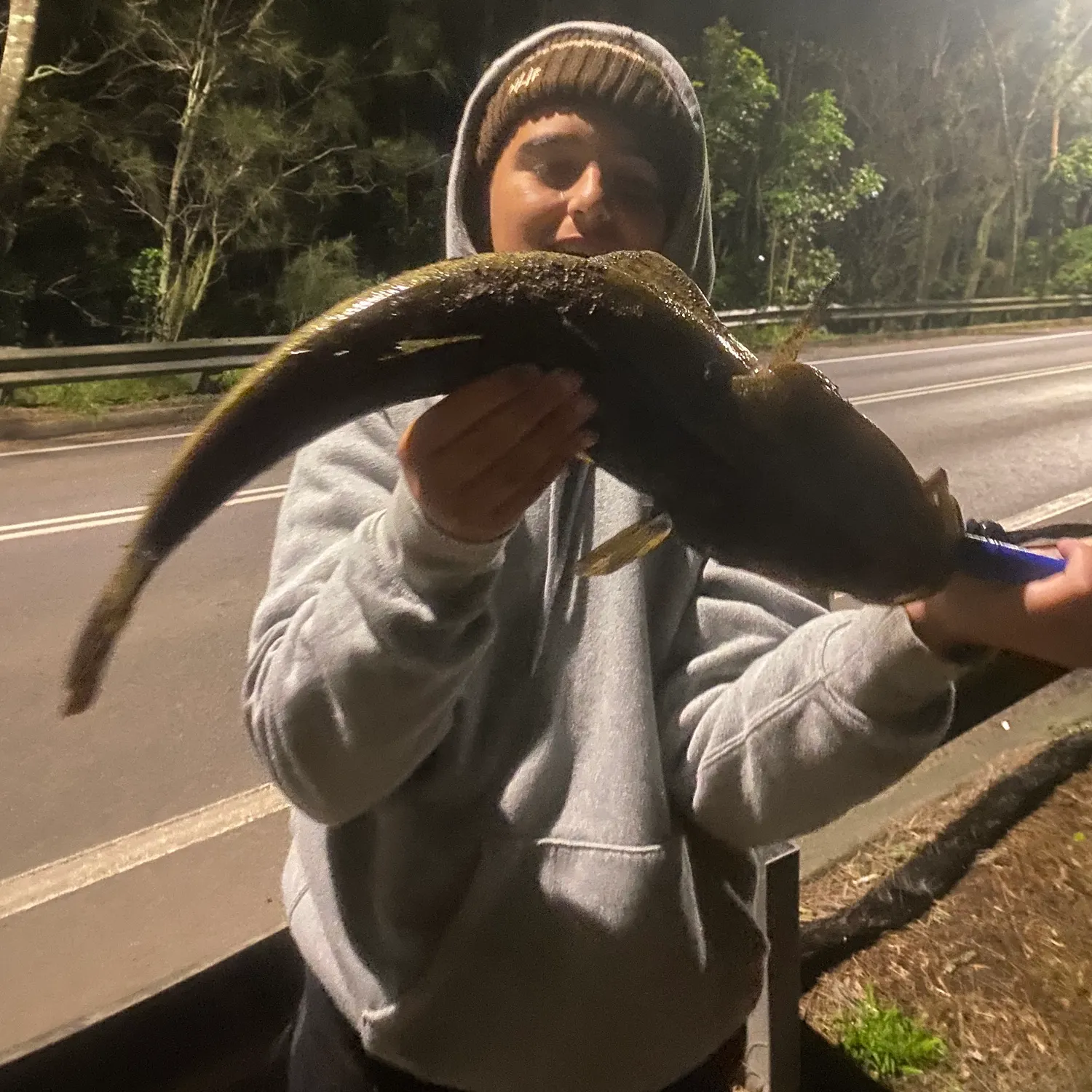 The most recent Dusky flathead catches on Fishbrain