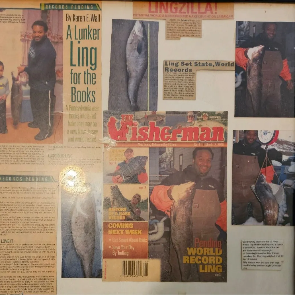 The most recent Red hake catches on Fishbrain