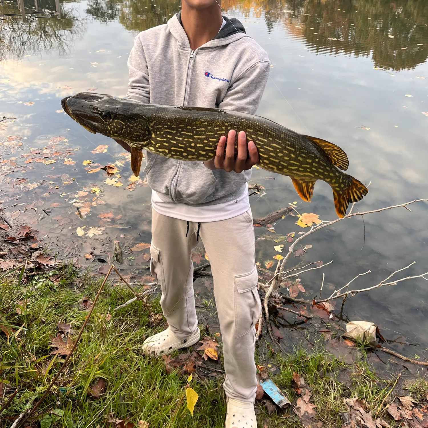 Northern pike caught on Fishbrain