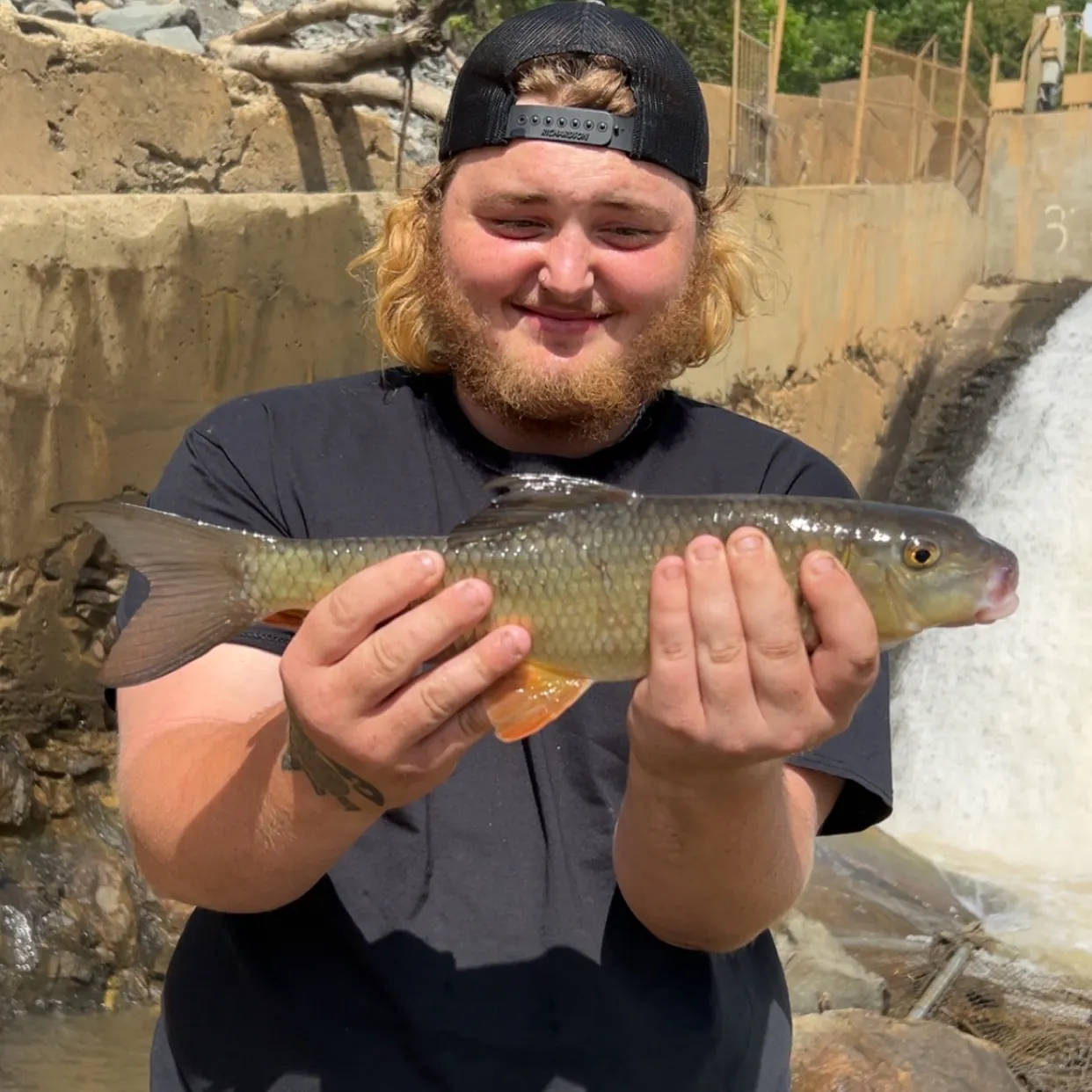 The most recent Silver redhorse catches on Fishbrain