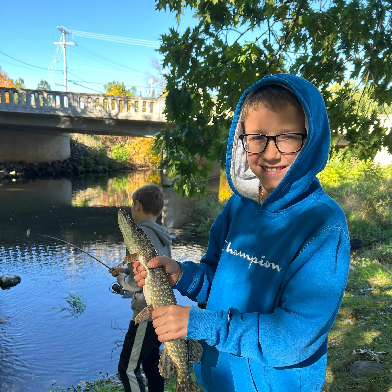Northern pike caught on Fishbrain