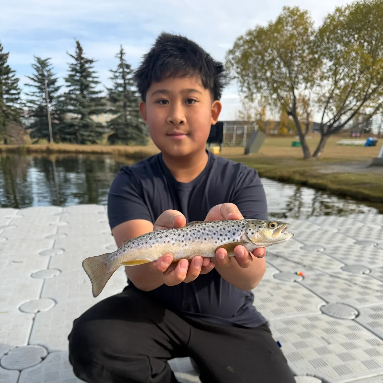 Brown trout caught on Fishbrain