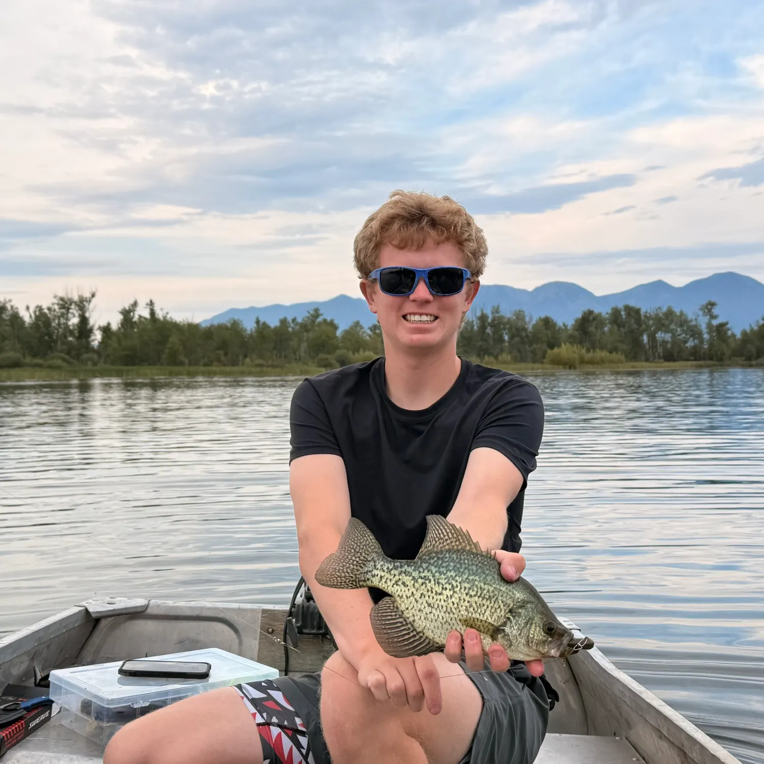 Black crappie caught on Fishbrain