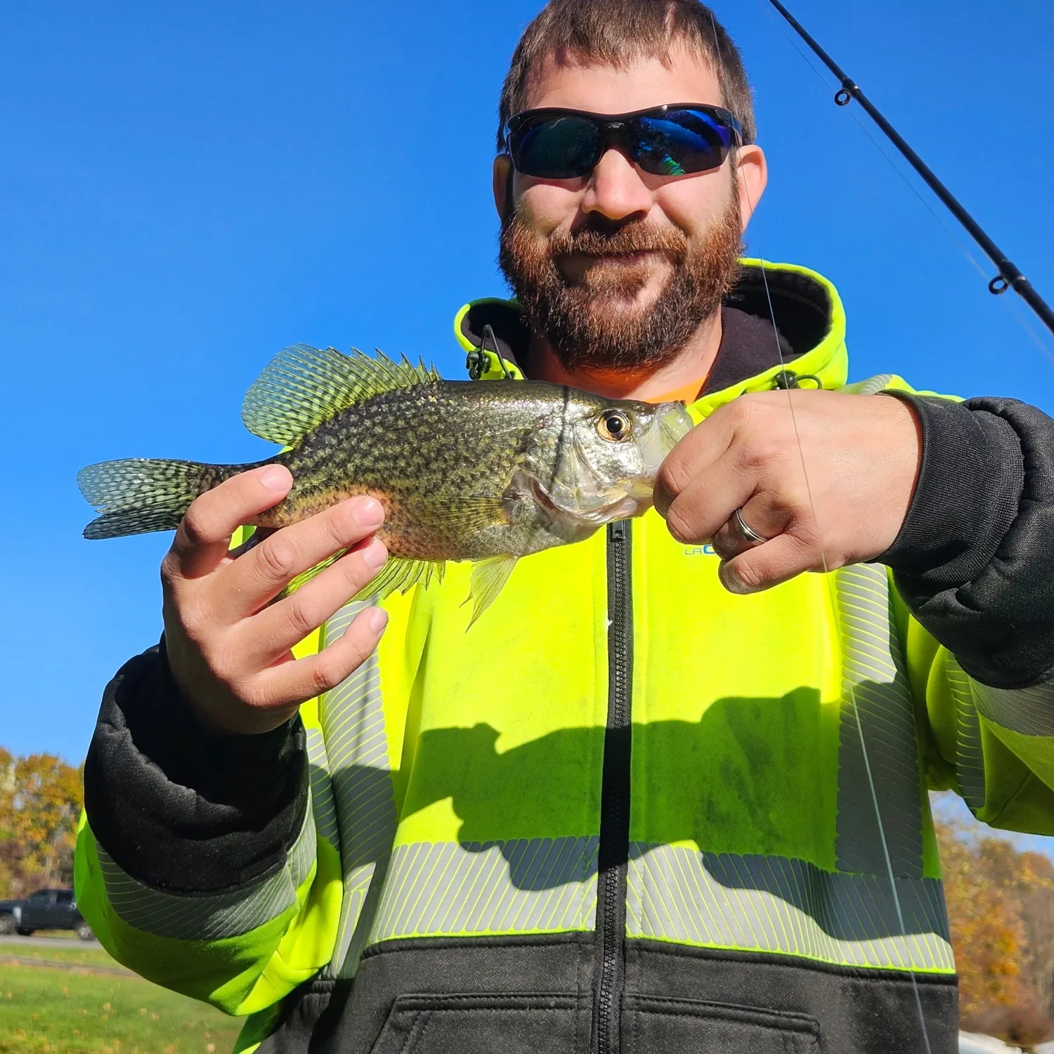 Black crappie caught on Fishbrain