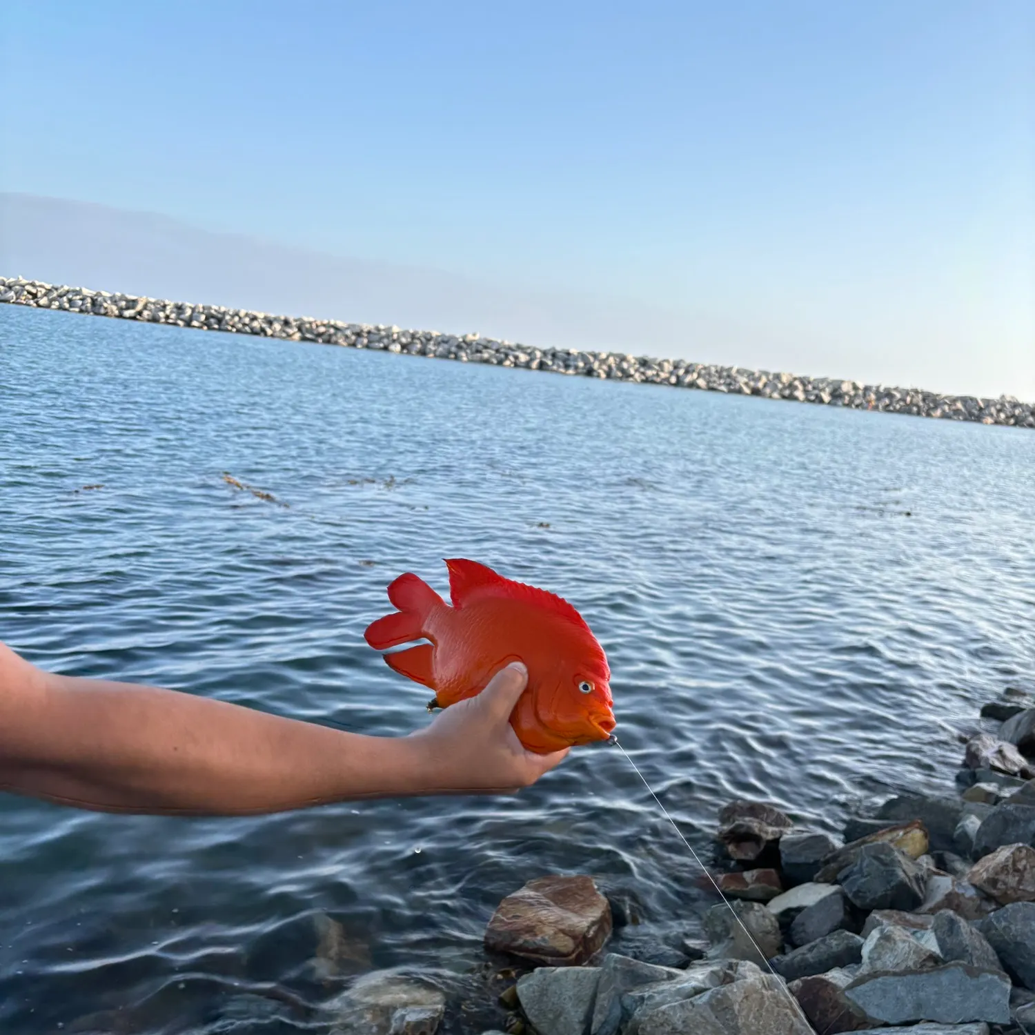 most liked catch image