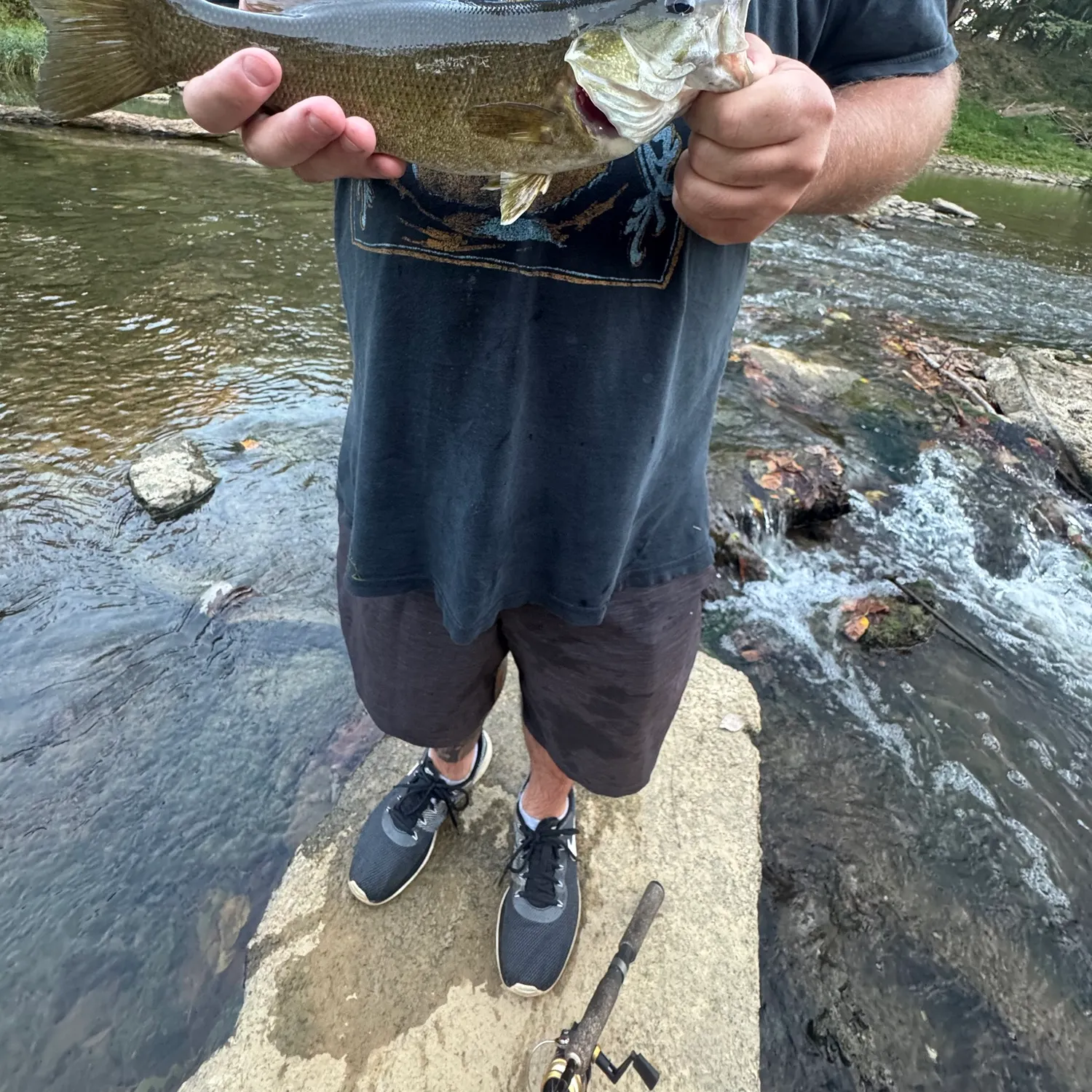 Smallmouth bass caught on Fishbrain