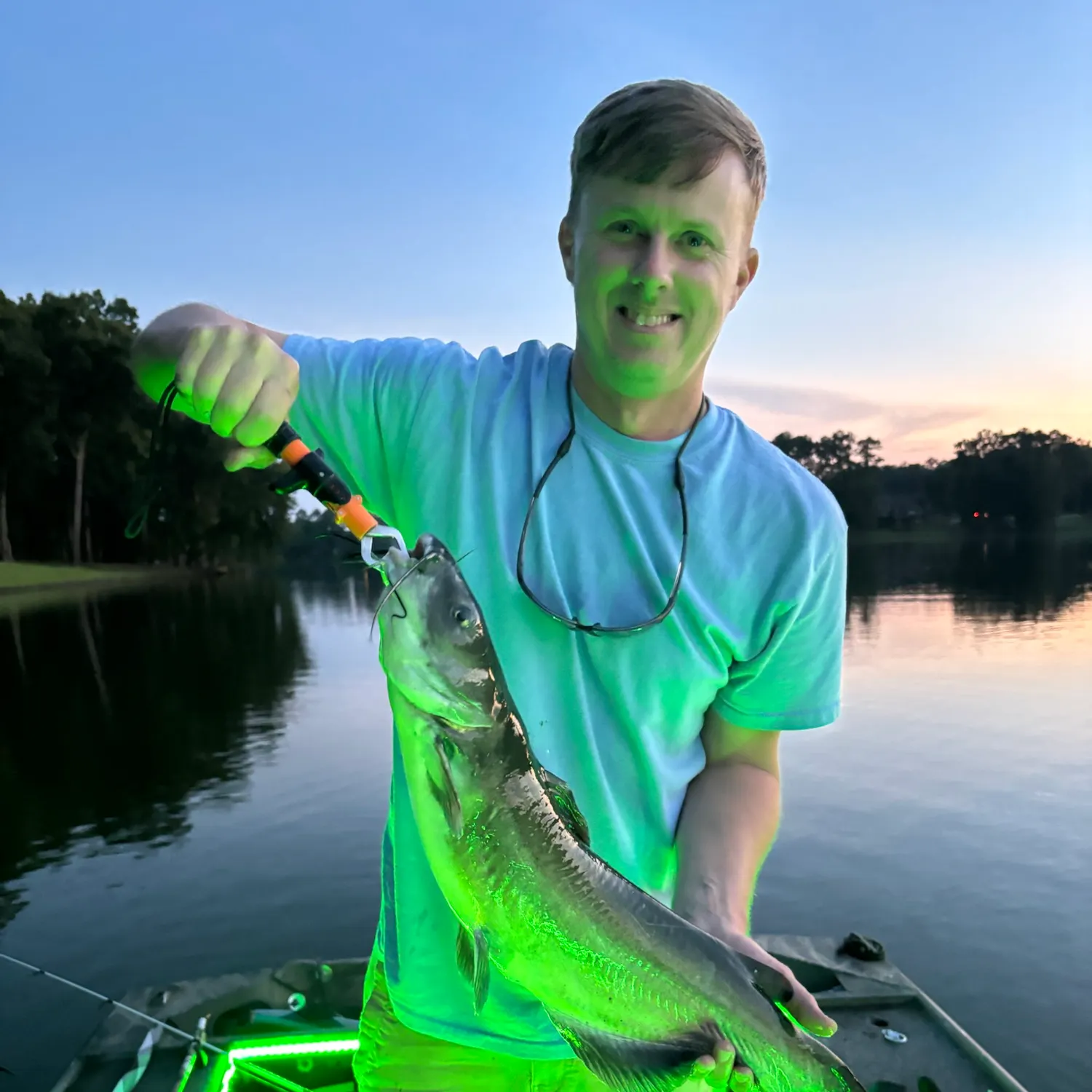 Channel catfish caught on Fishbrain