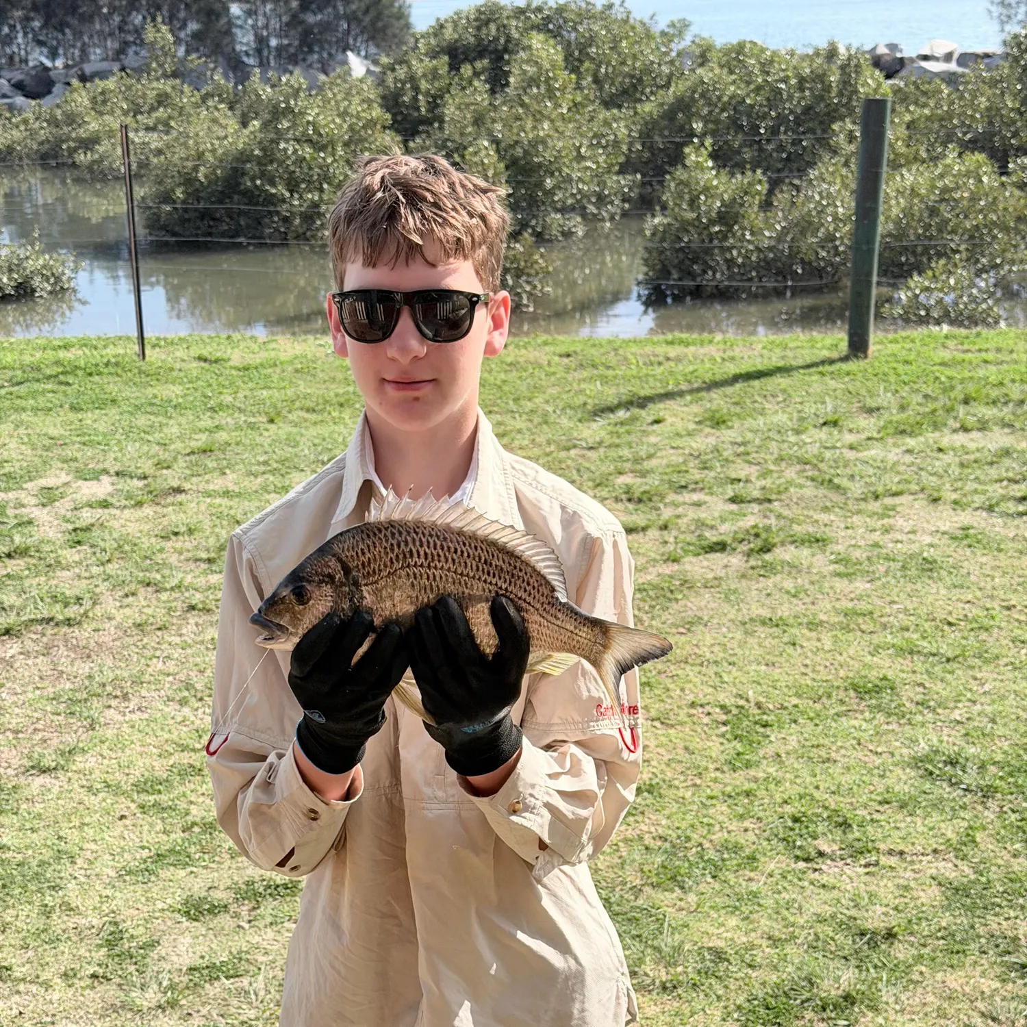 Surf bream caught on Fishbrain