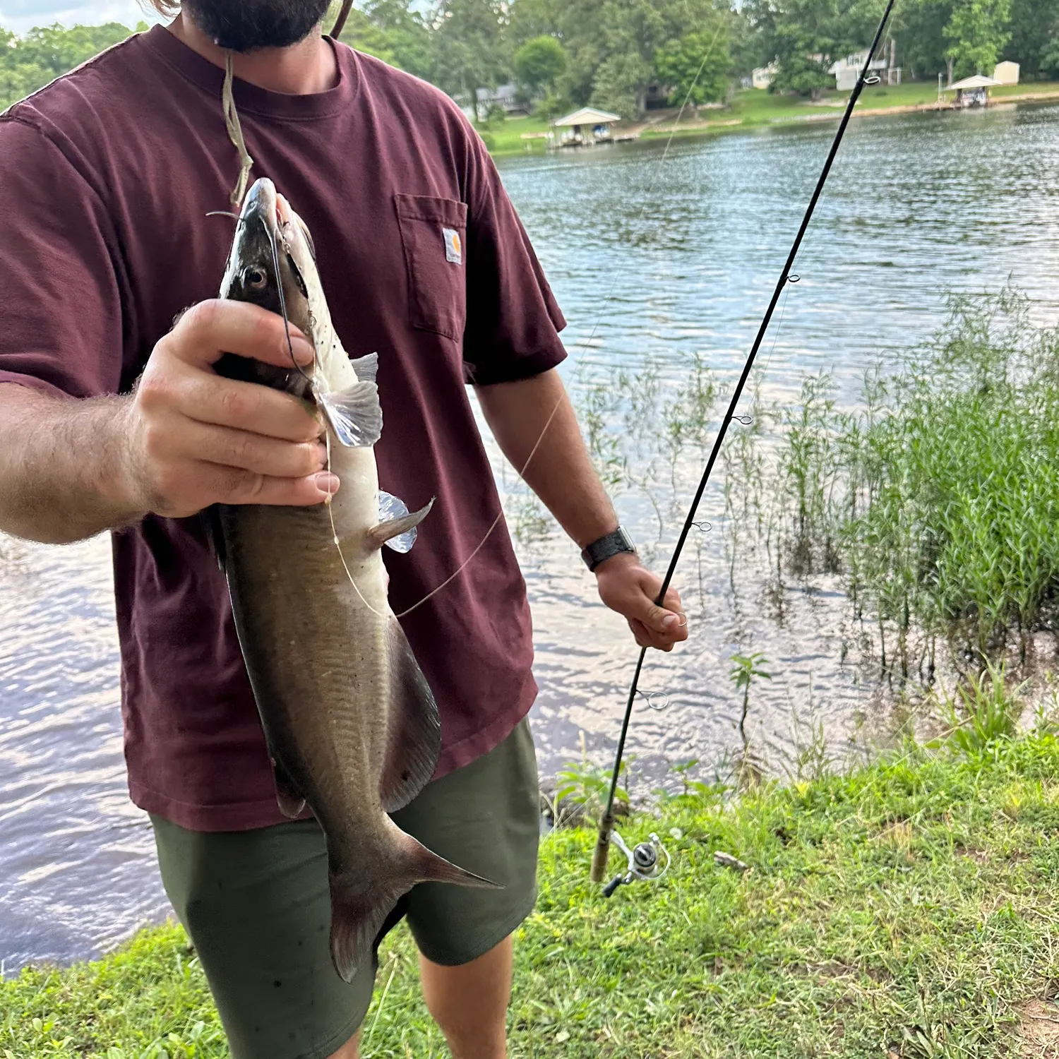 recently logged catches