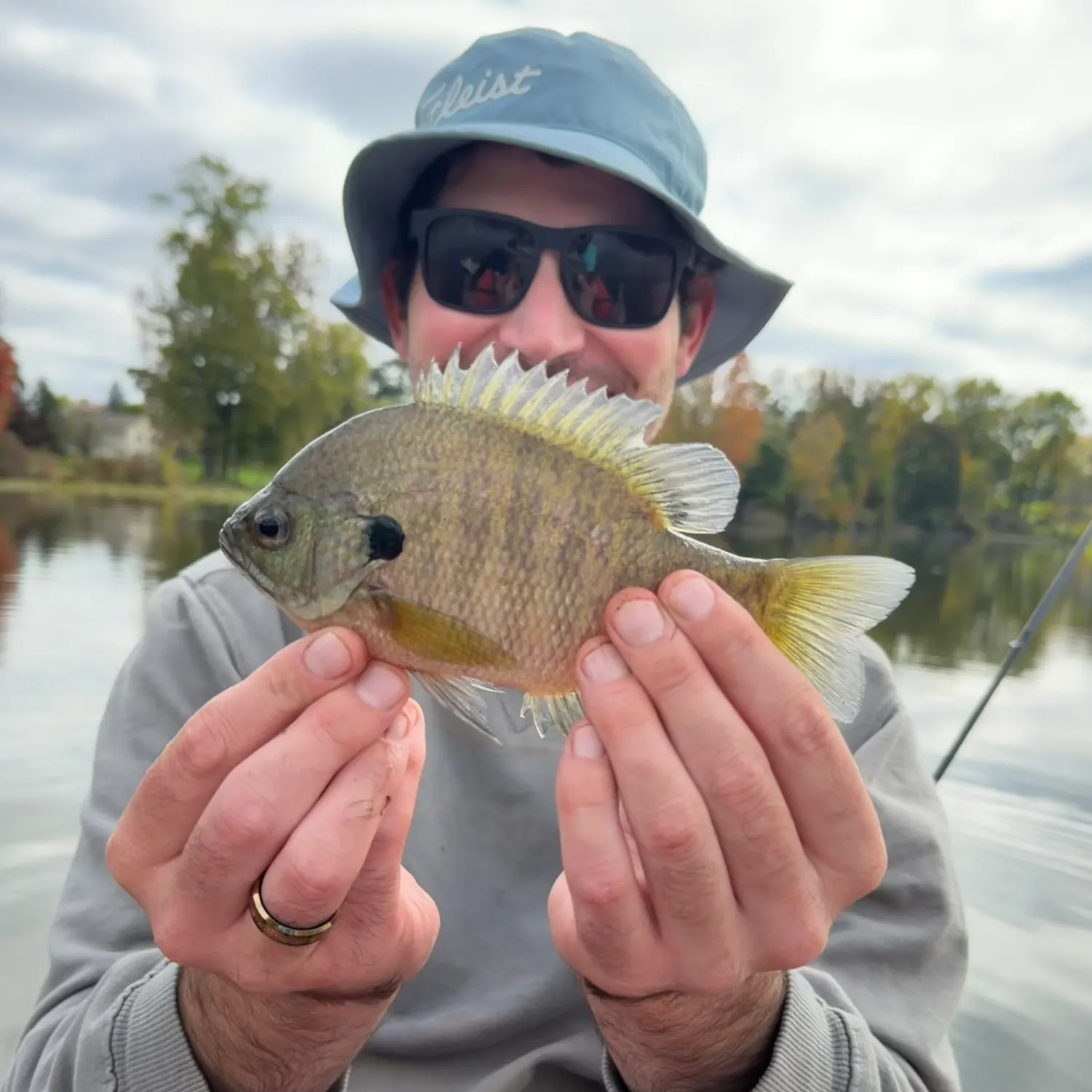 Bluegill caught on Fishbrain