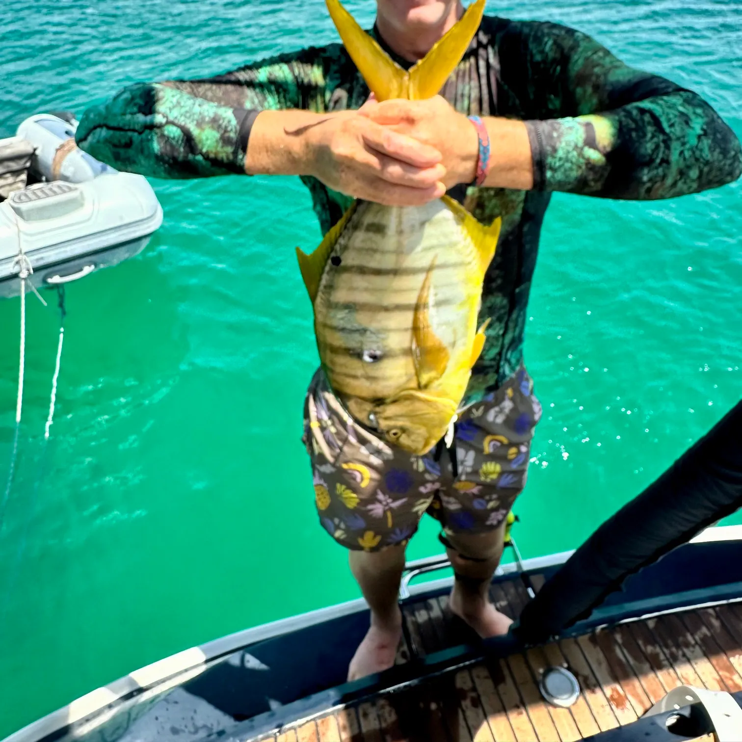 The most recent Golden trevally catches on Fishbrain