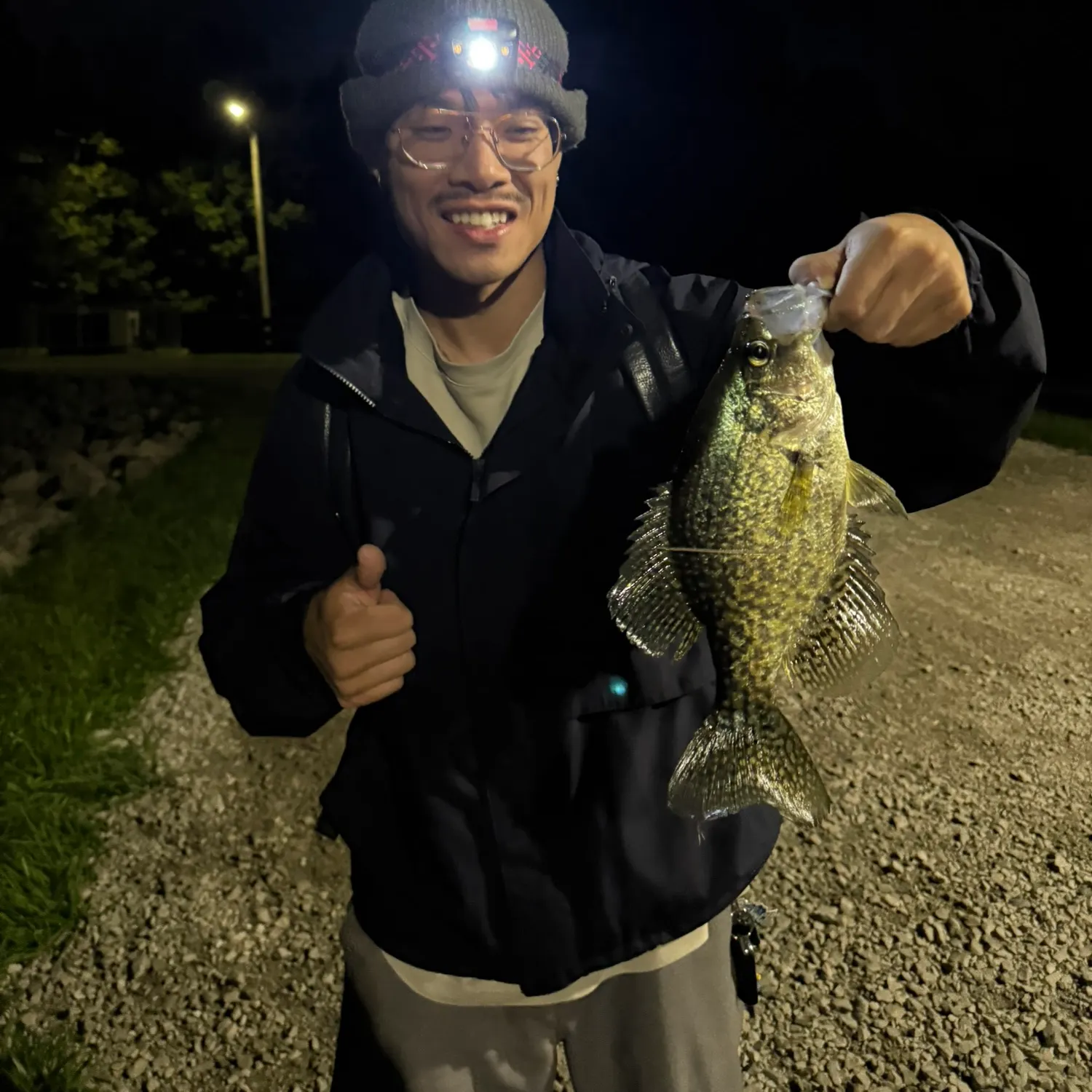 Black crappie caught on Fishbrain