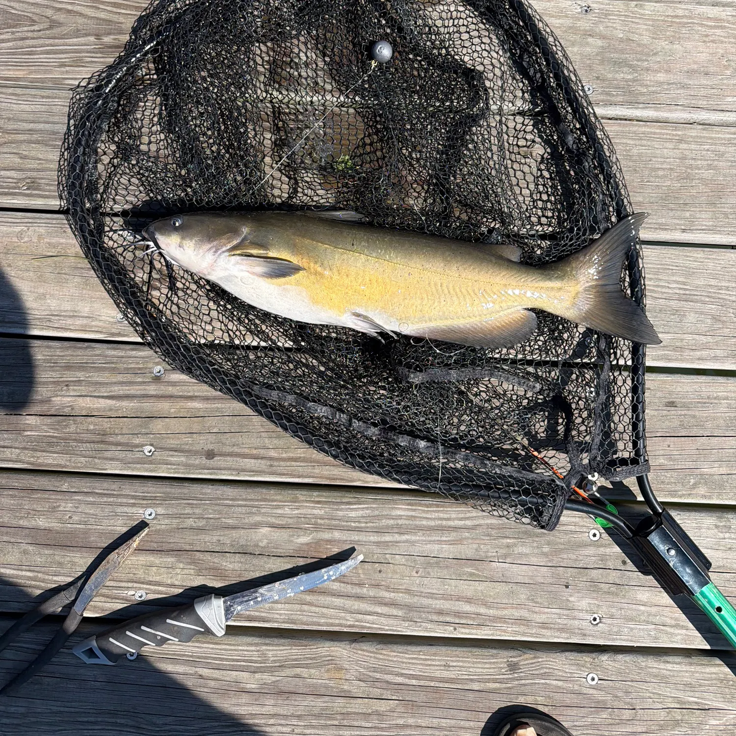 catch