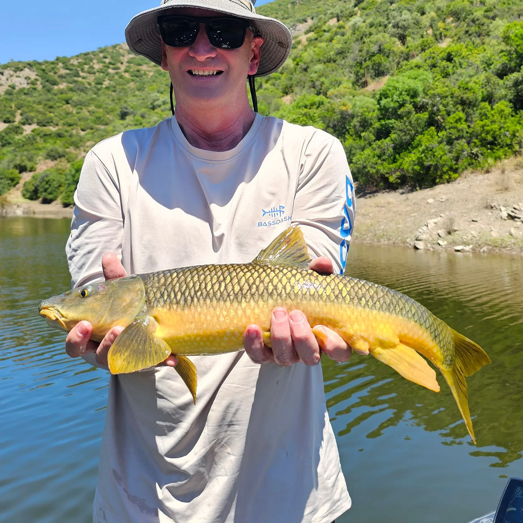 The most recent Ebro barbel catches on Fishbrain