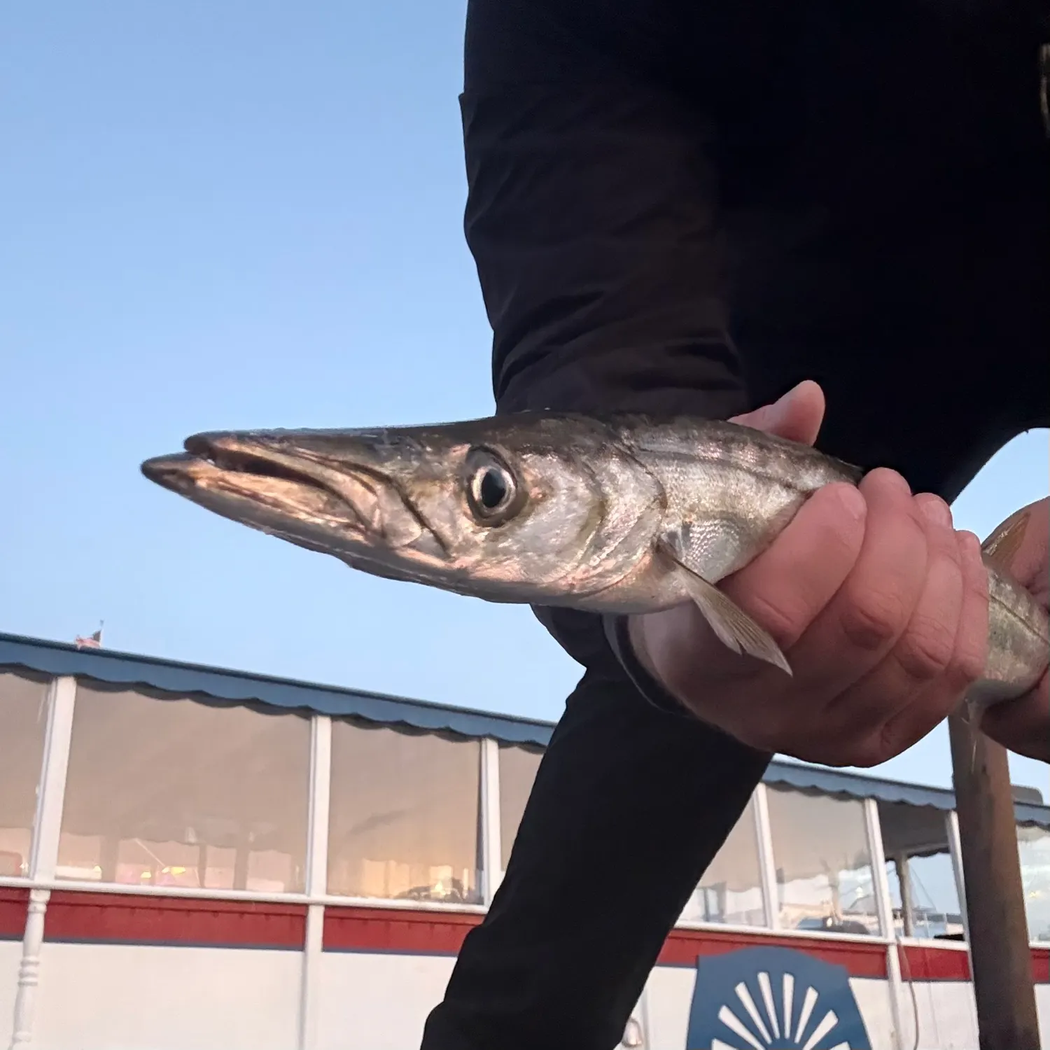 most liked catch image