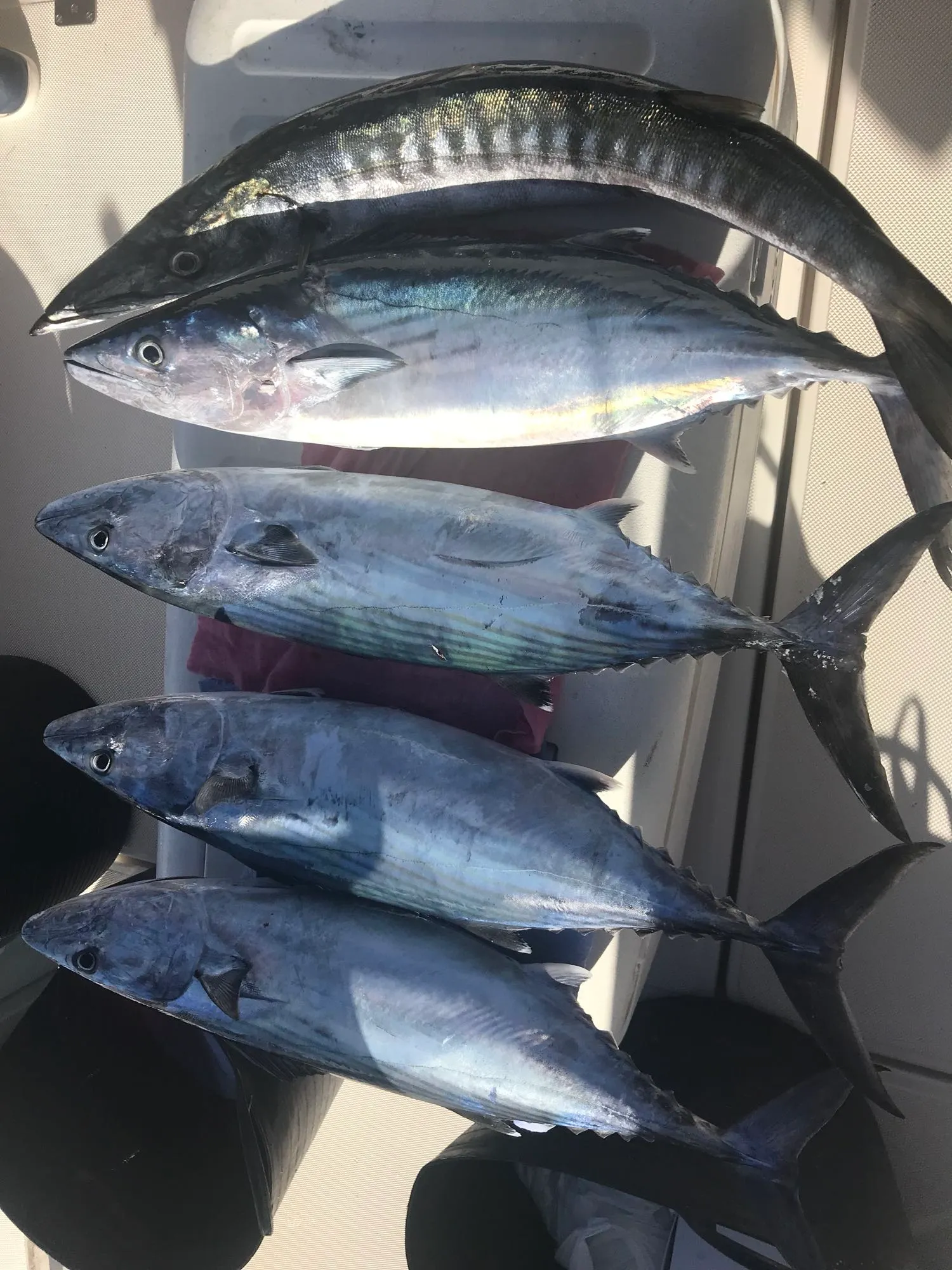 Post image from sun777