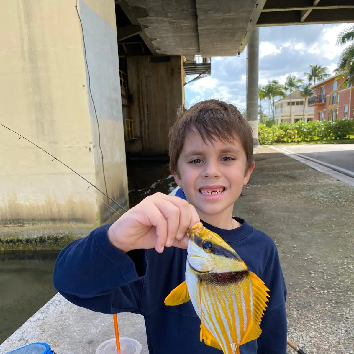 Atlantic porkfish caught on Fishbrain