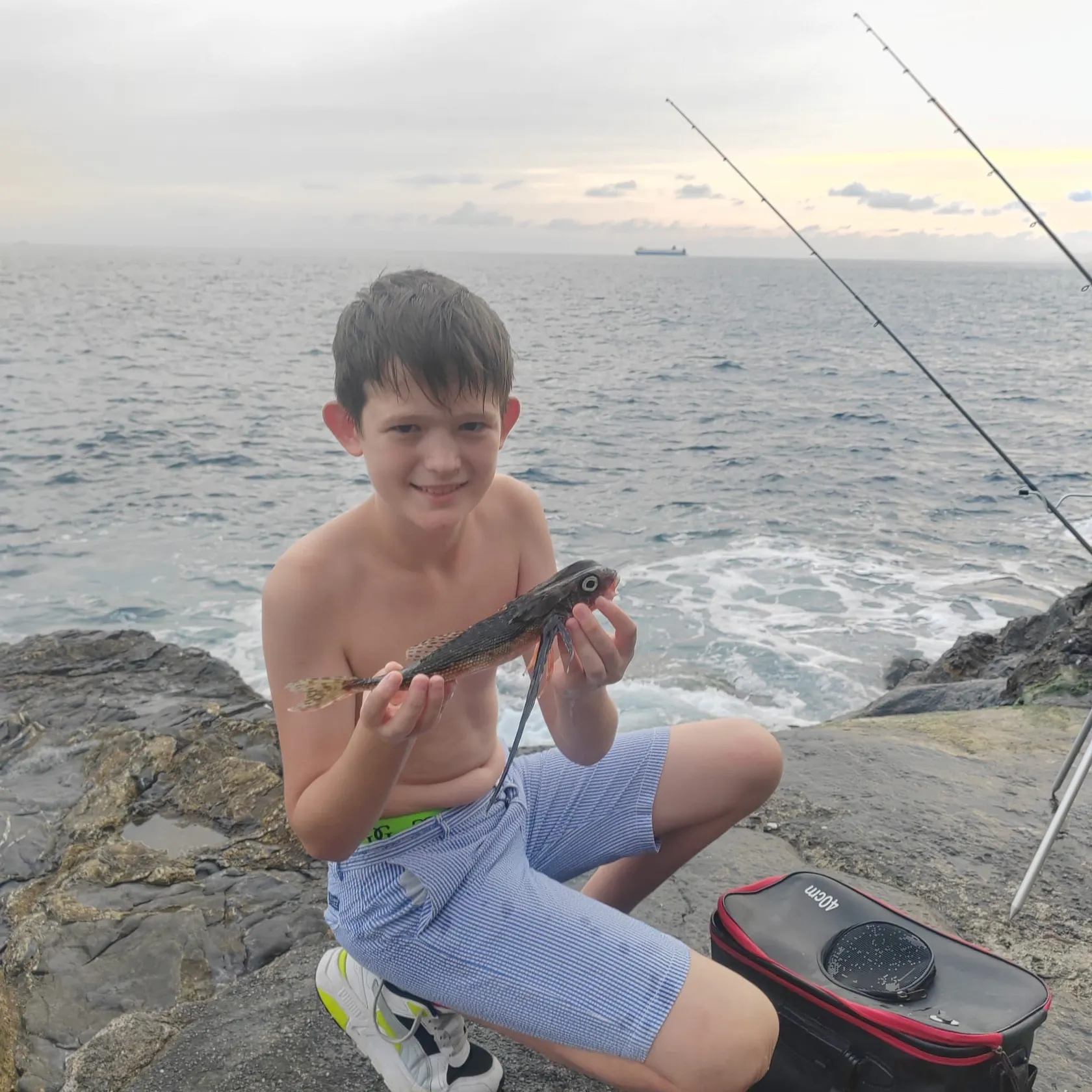 Striped searobin caught on Fishbrain