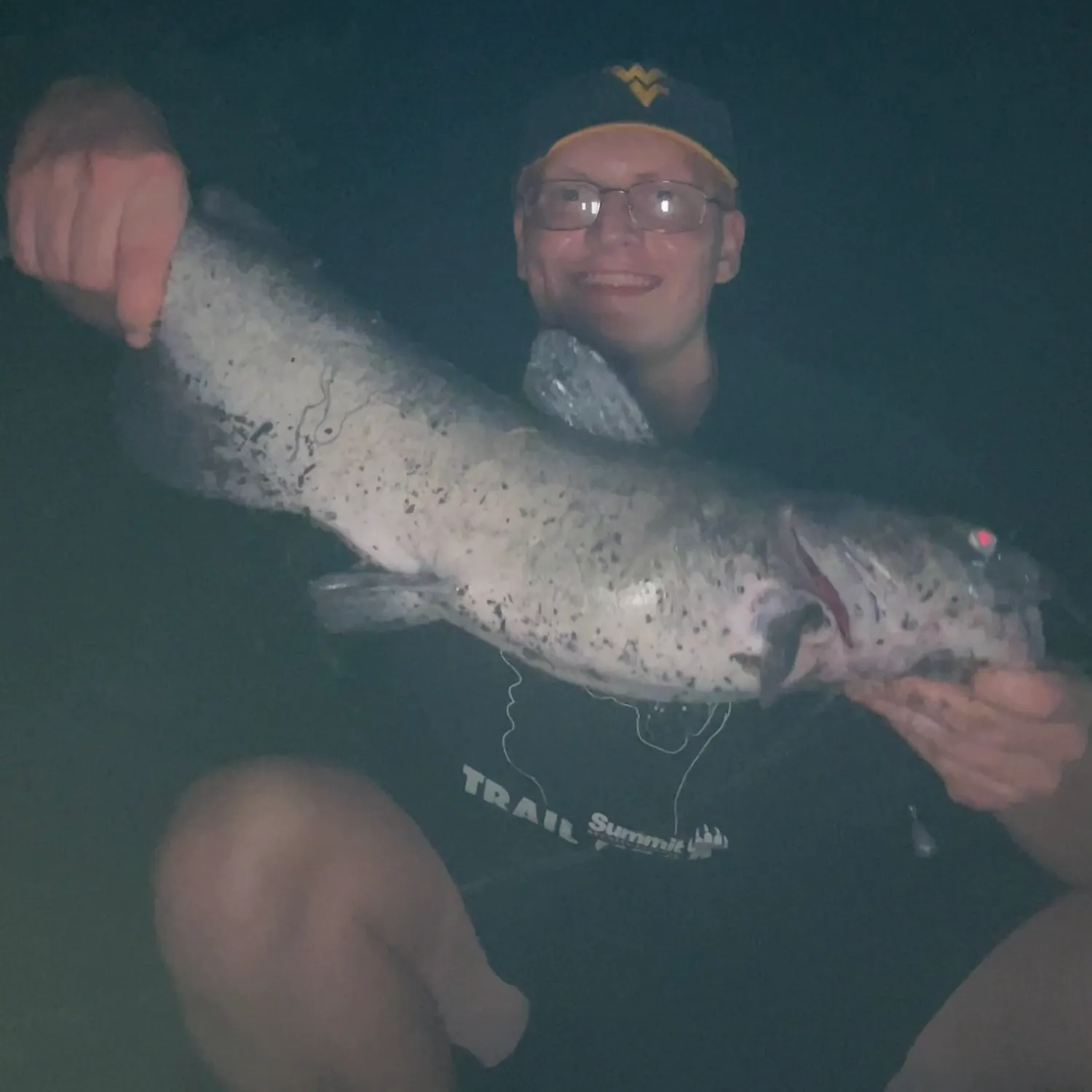 Blue catfish caught on Fishbrain