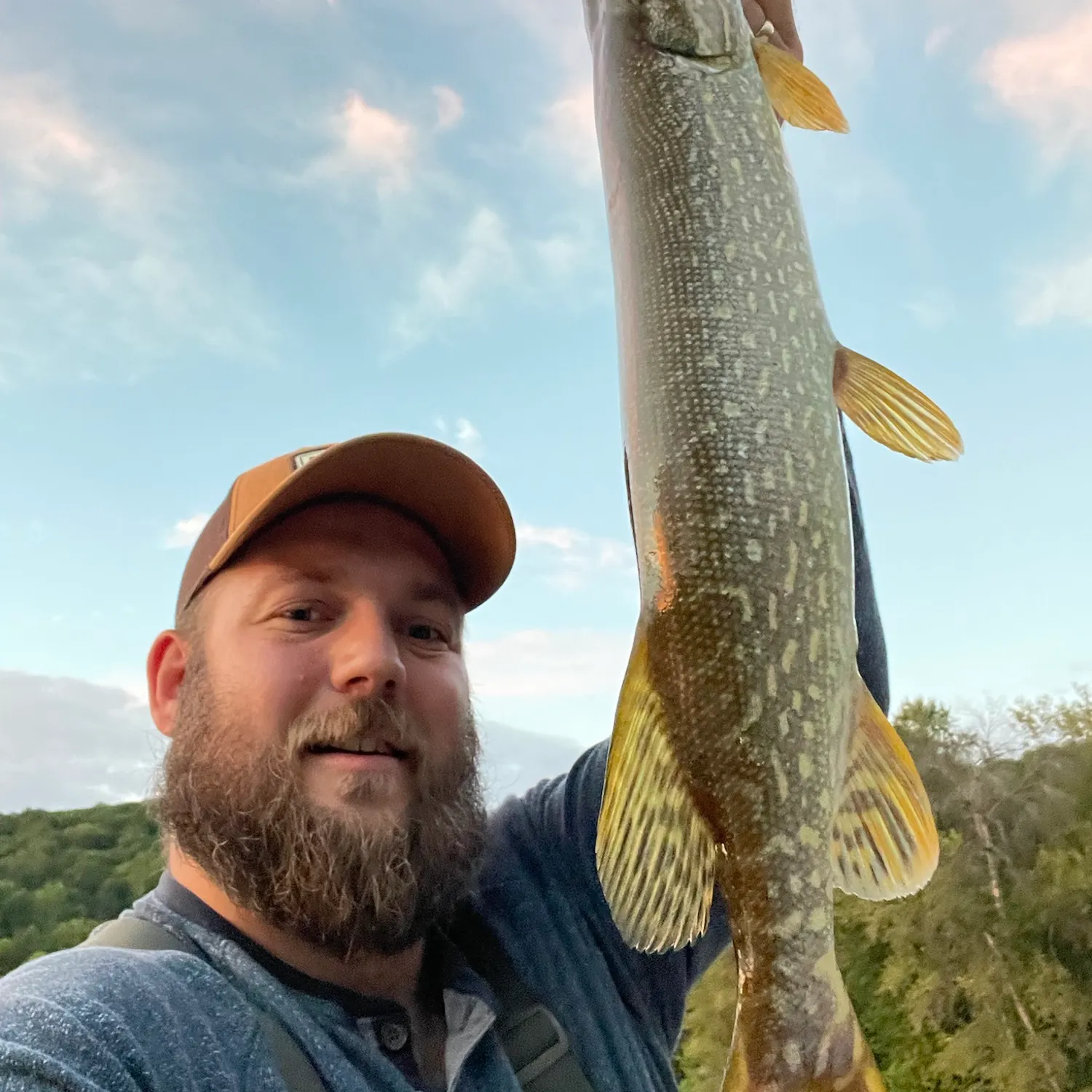 Northern pike caught on Fishbrain