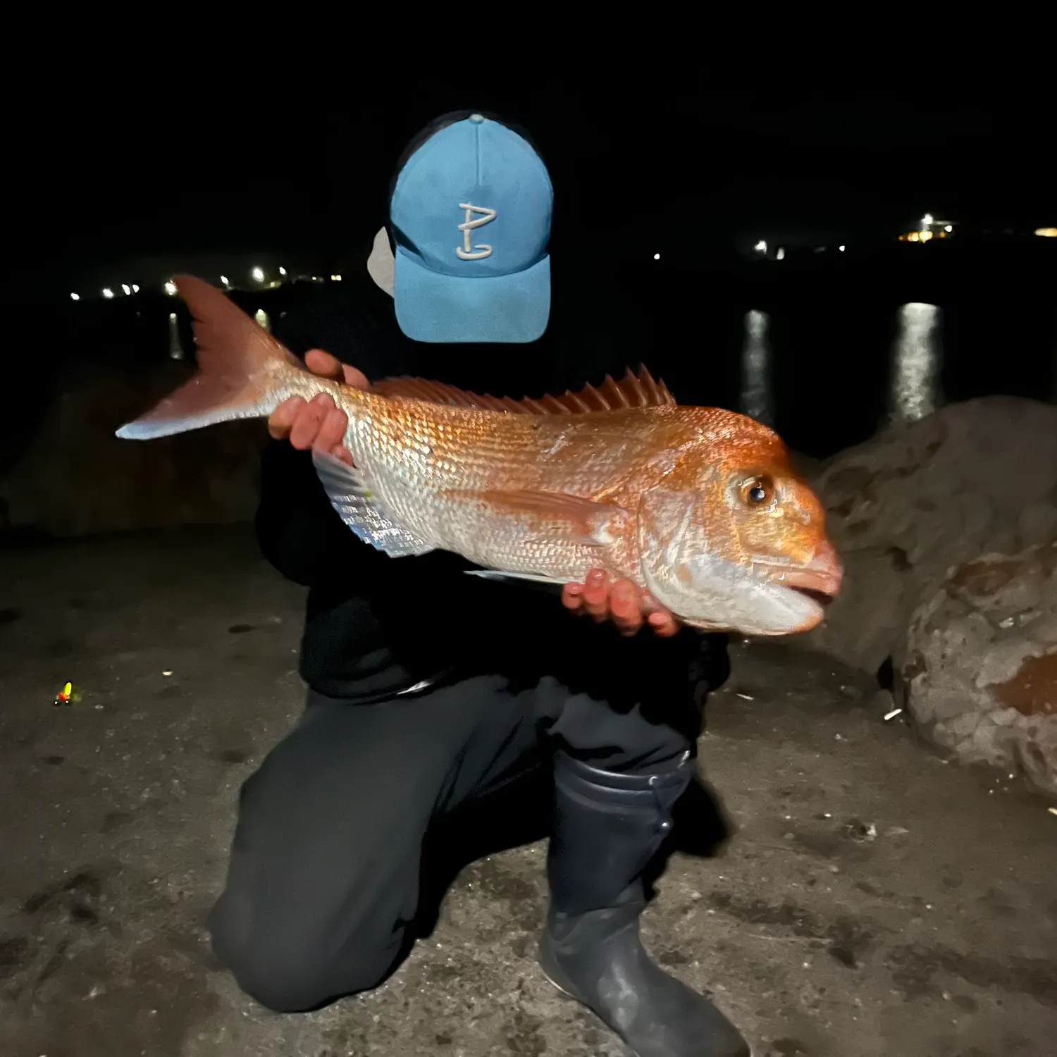 Australasian snapper caught on Fishbrain