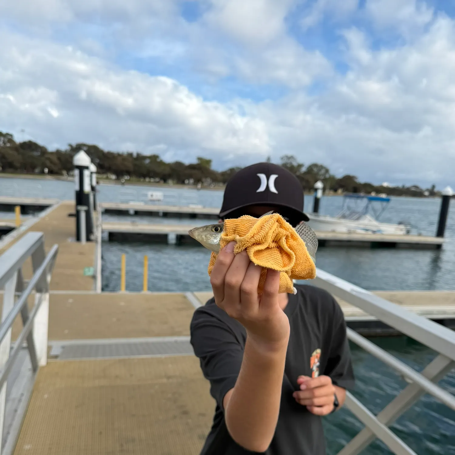 The most recent Sand sillago catches on Fishbrain