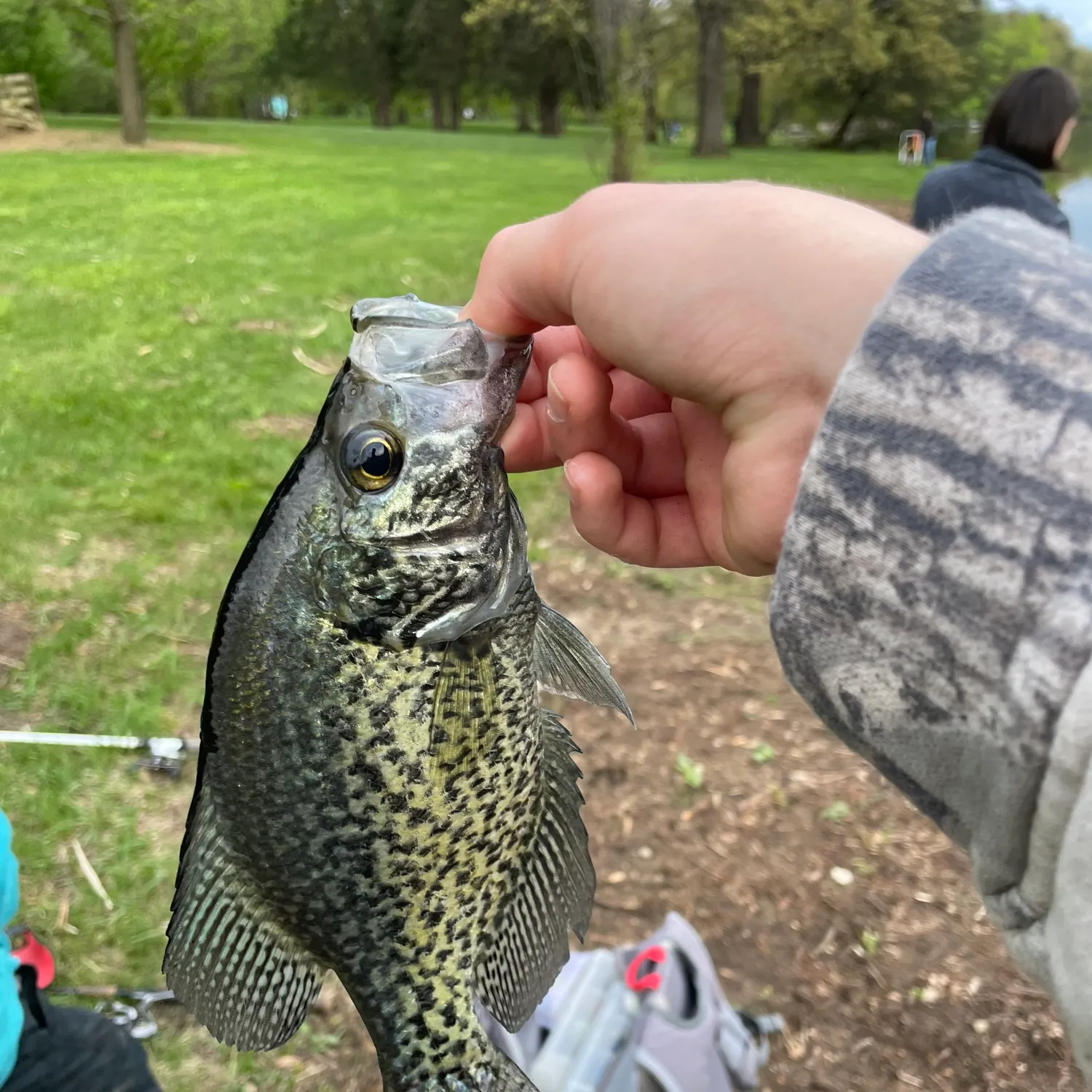 most liked catch image