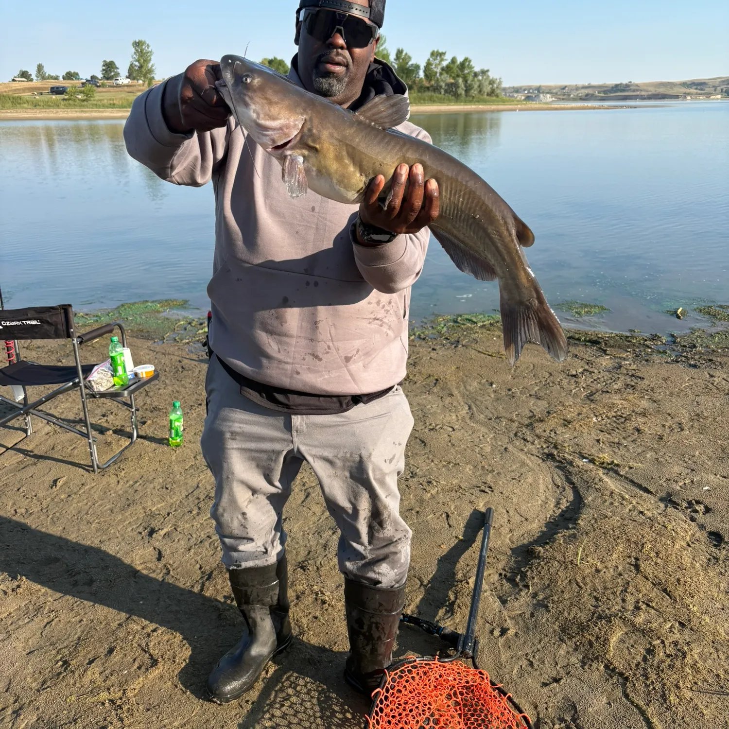 Channel catfish caught on Fishbrain