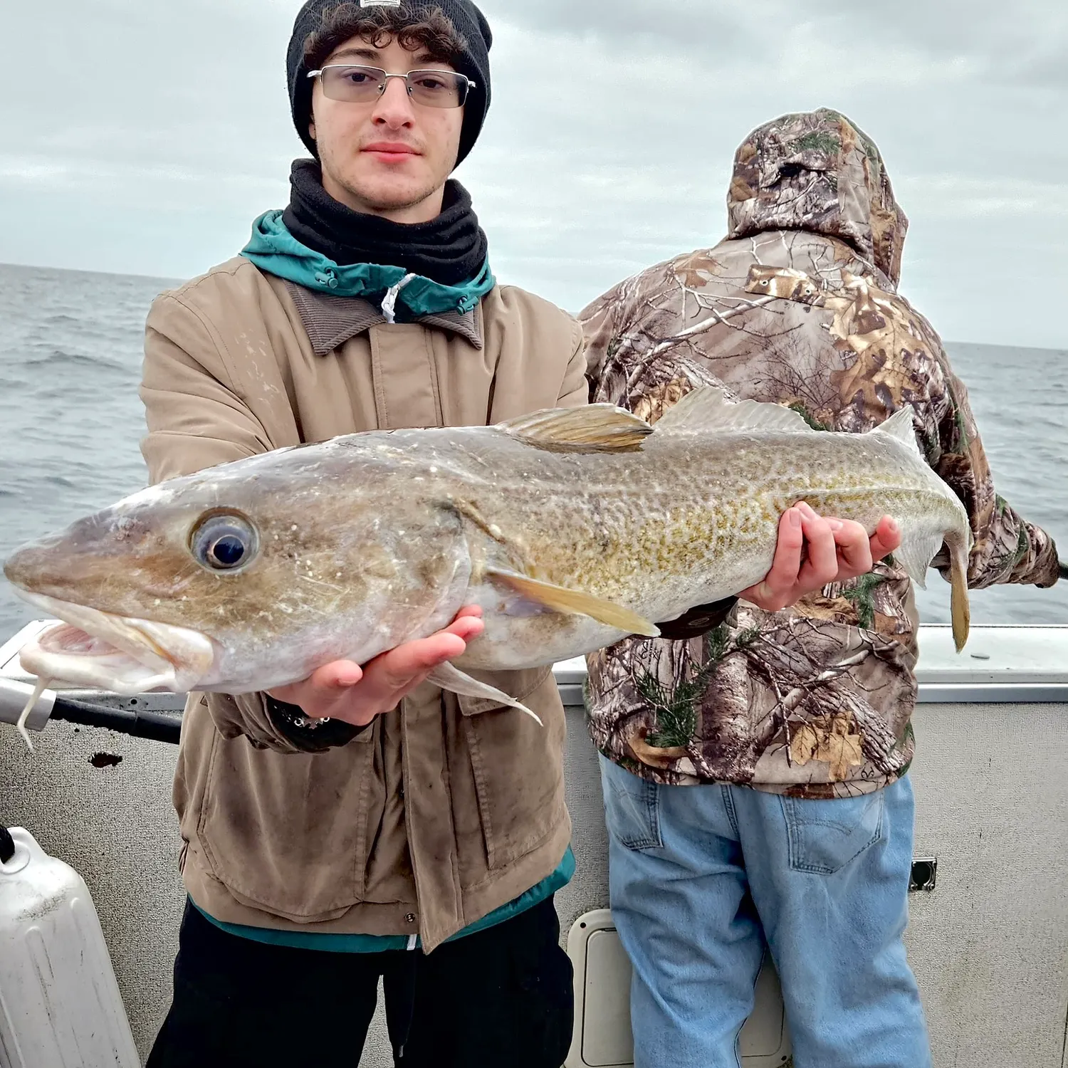 Pacific cod caught on Fishbrain
