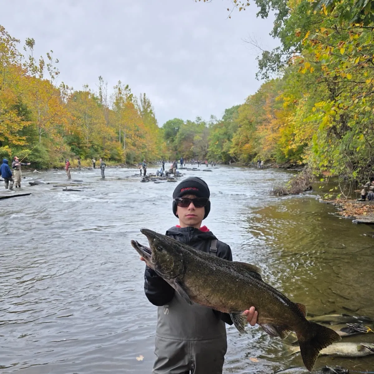 Chinook salmon caught on Fishbrain