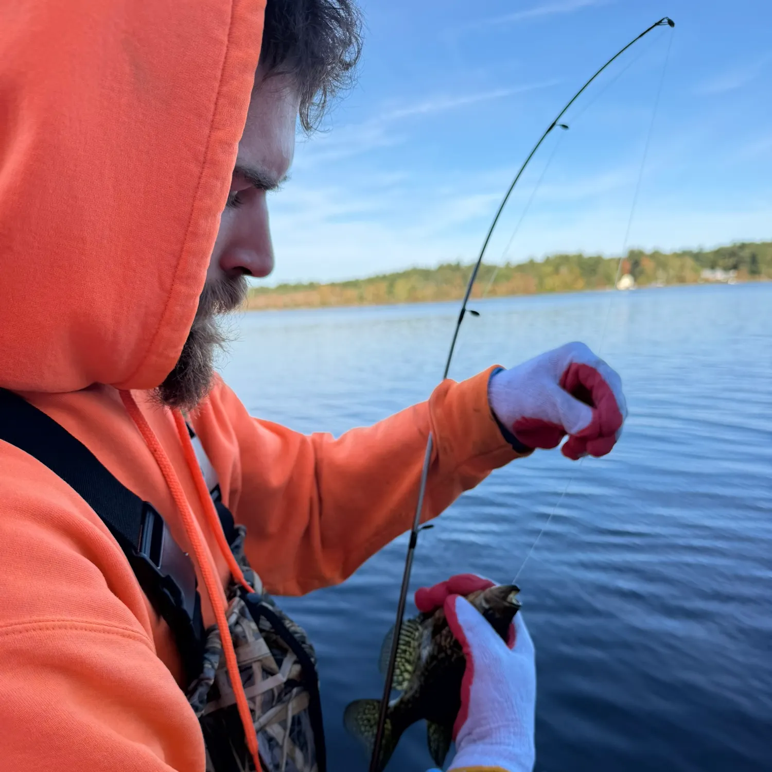 Pumpkinseed caught on Fishbrain