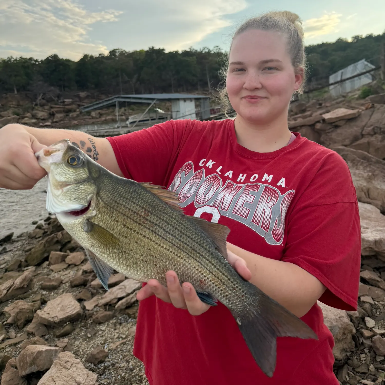 Striped bass caught on Fishbrain