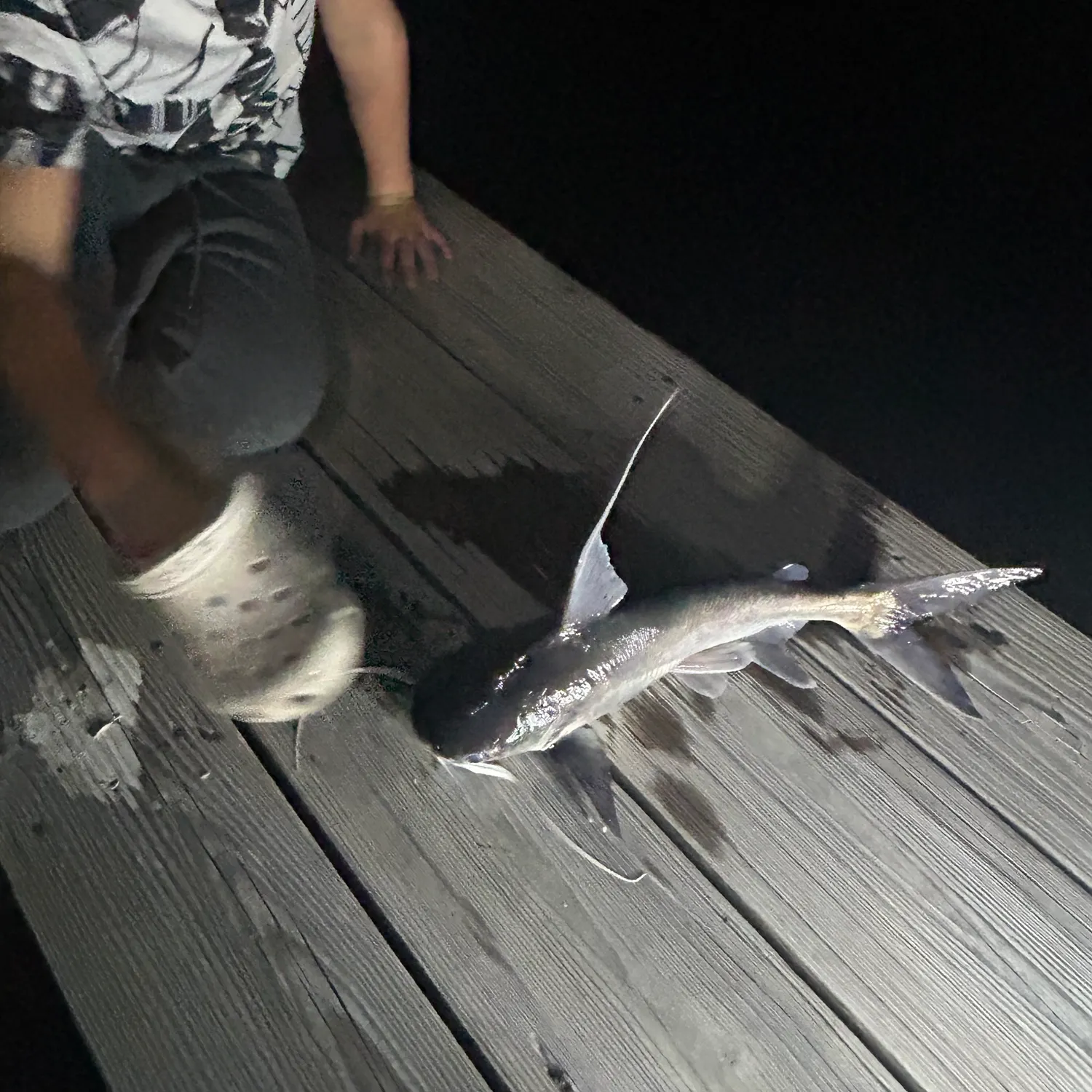 catch