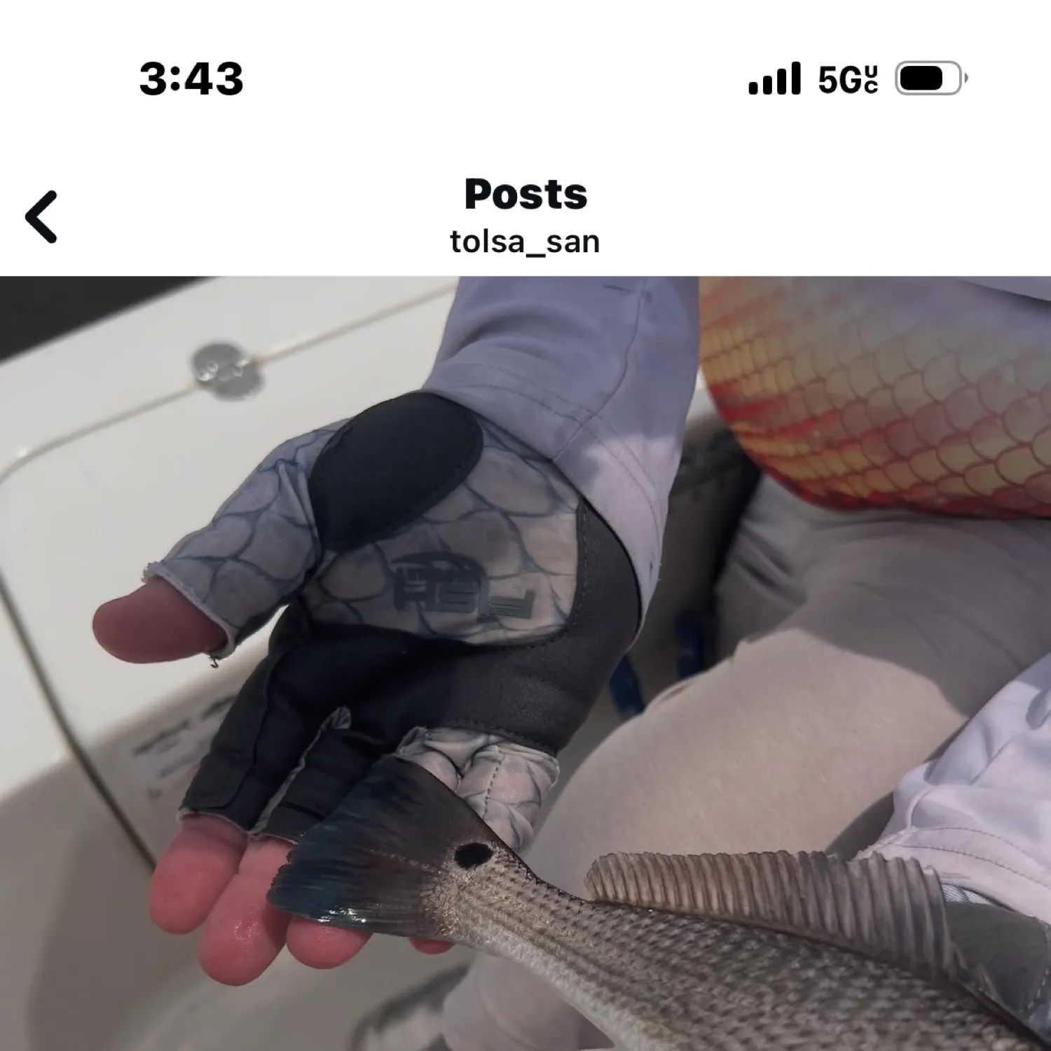 recently logged catches