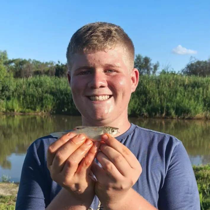 The most recent Moggel catches on Fishbrain