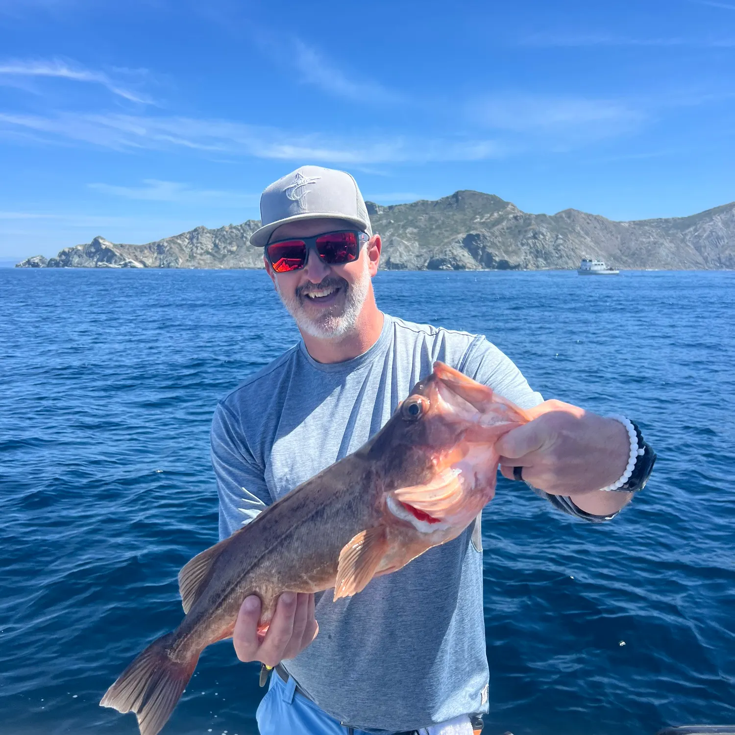 The most recent Bocaccio rockfish catches on Fishbrain