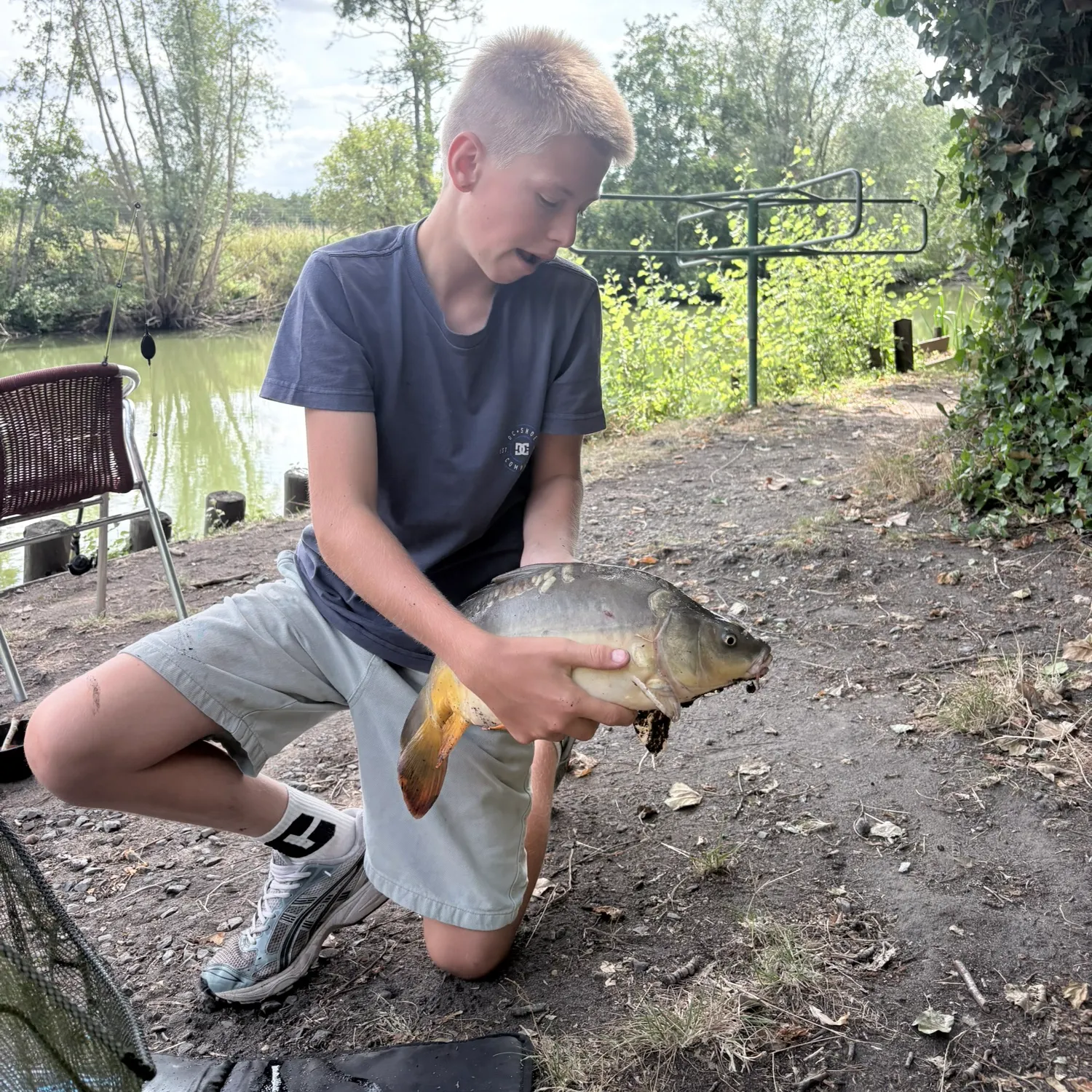 Common carp caught on Fishbrain