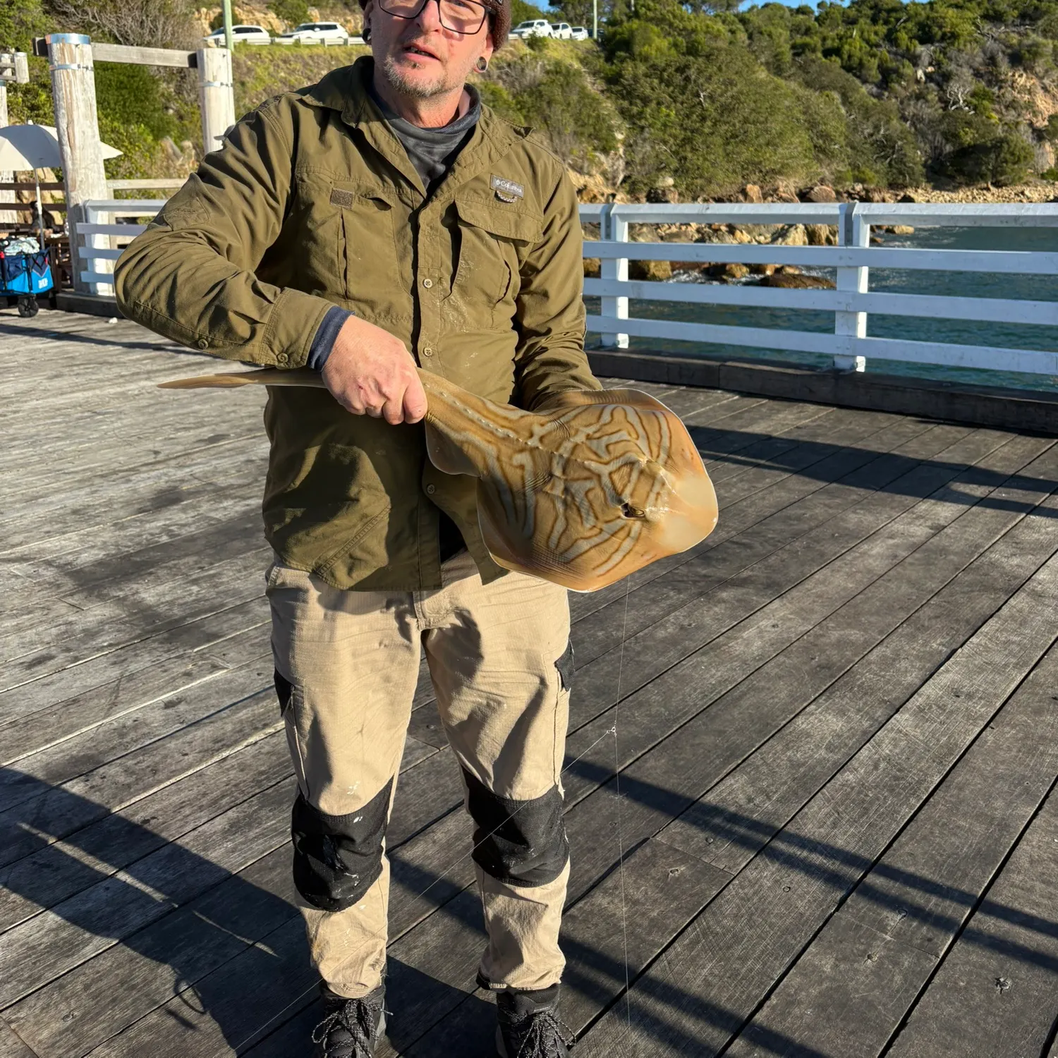 The most recent Southern fiddler catches on Fishbrain