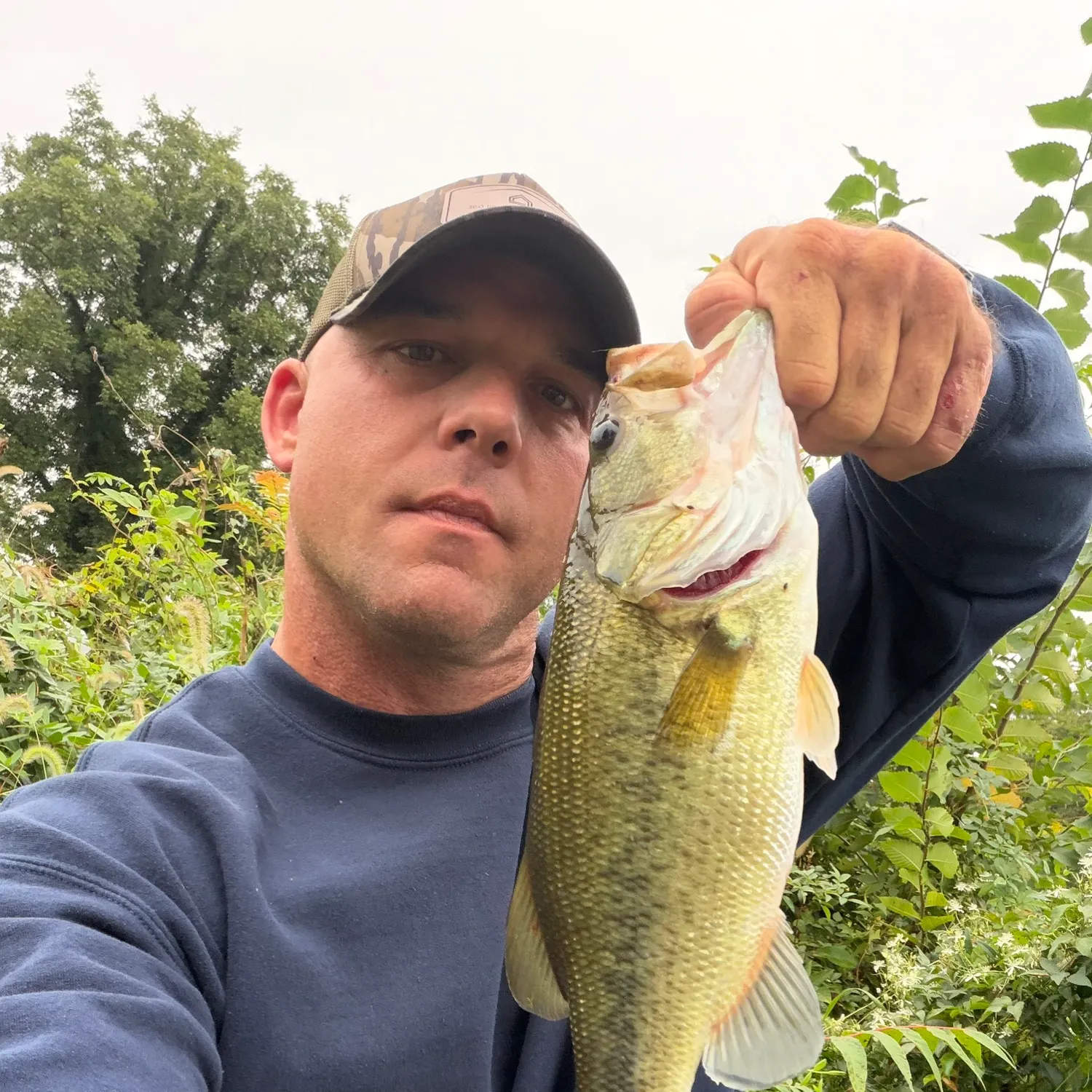 Largemouth bass caught on Fishbrain