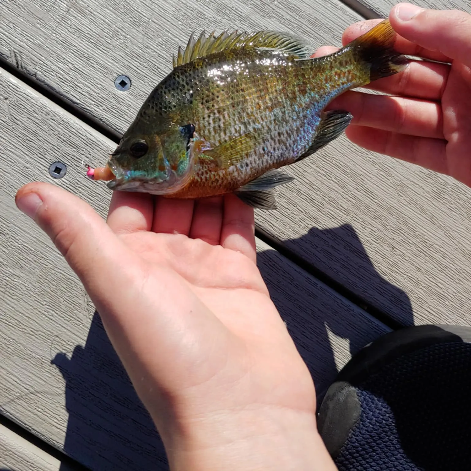 catch