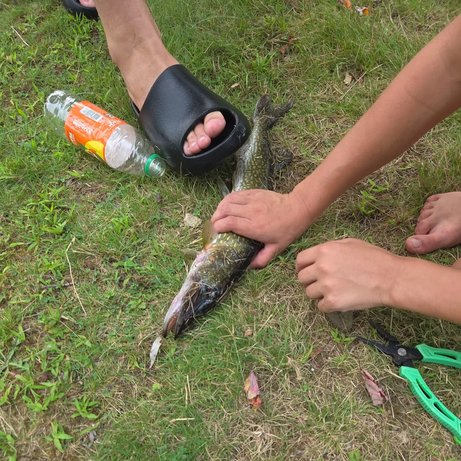 catch