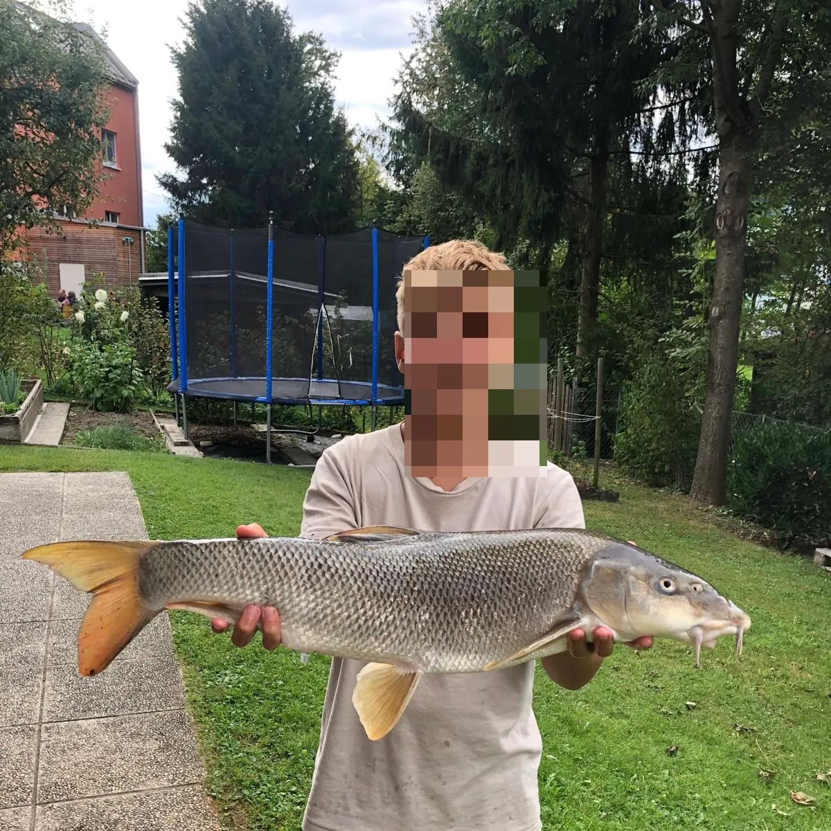 The most recent Common barbel catches on Fishbrain
