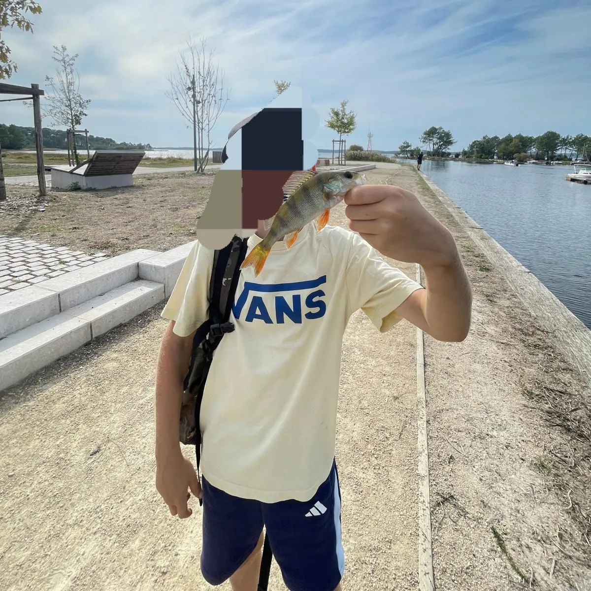 European perch caught on Fishbrain
