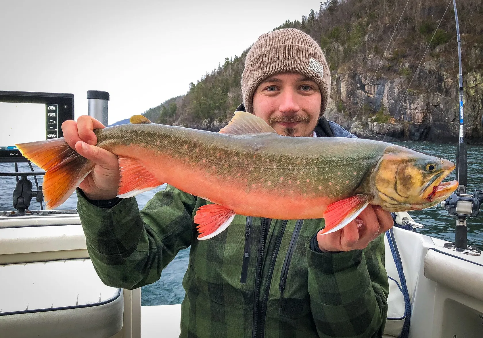 Arctic char