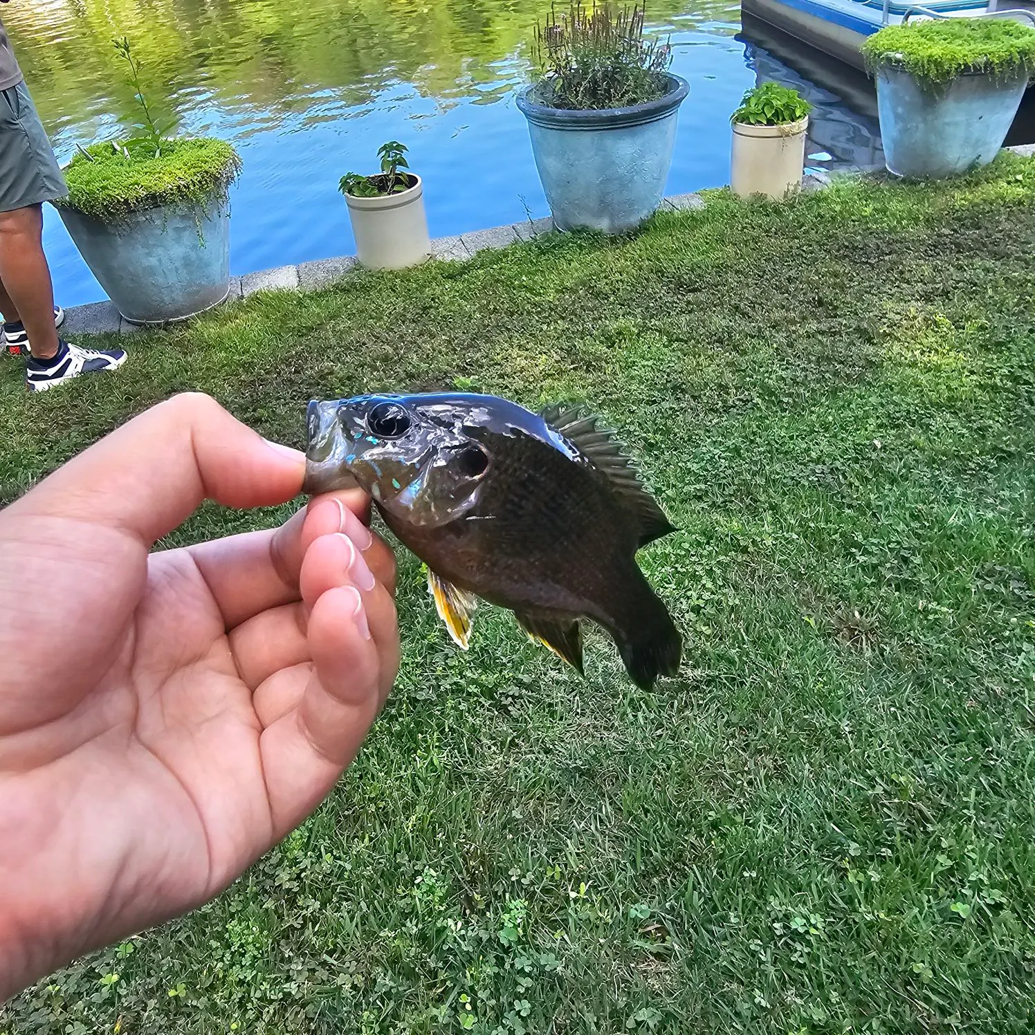 catch