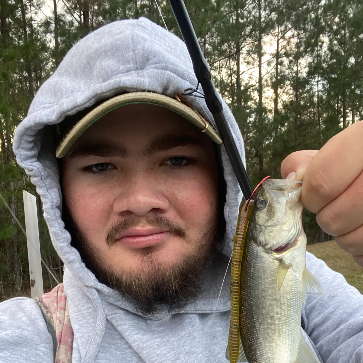 The most recent Florida bass catches on Fishbrain