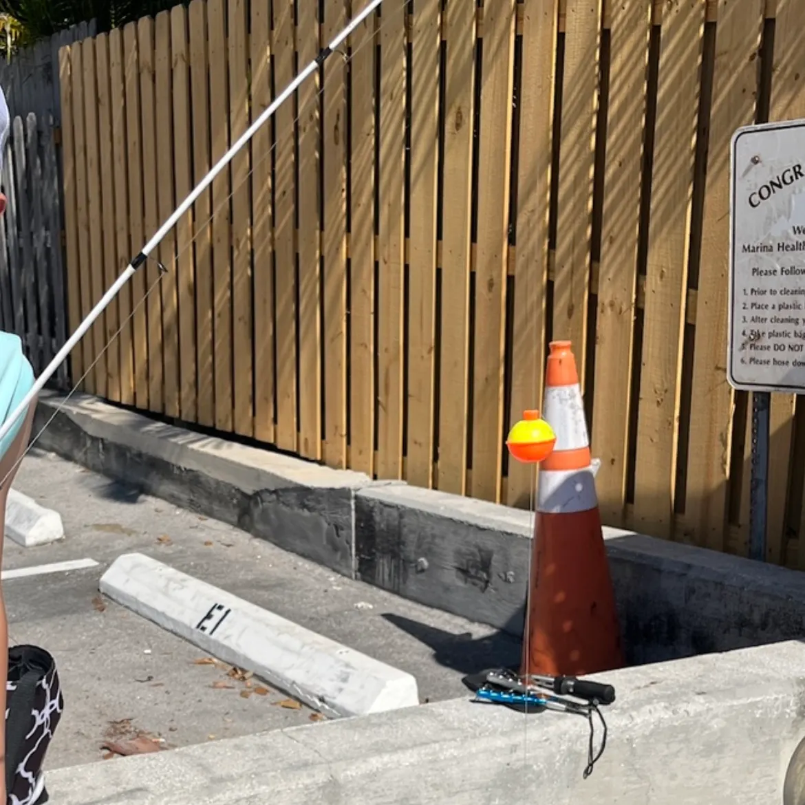 The most recent Hound needlefish catches on Fishbrain