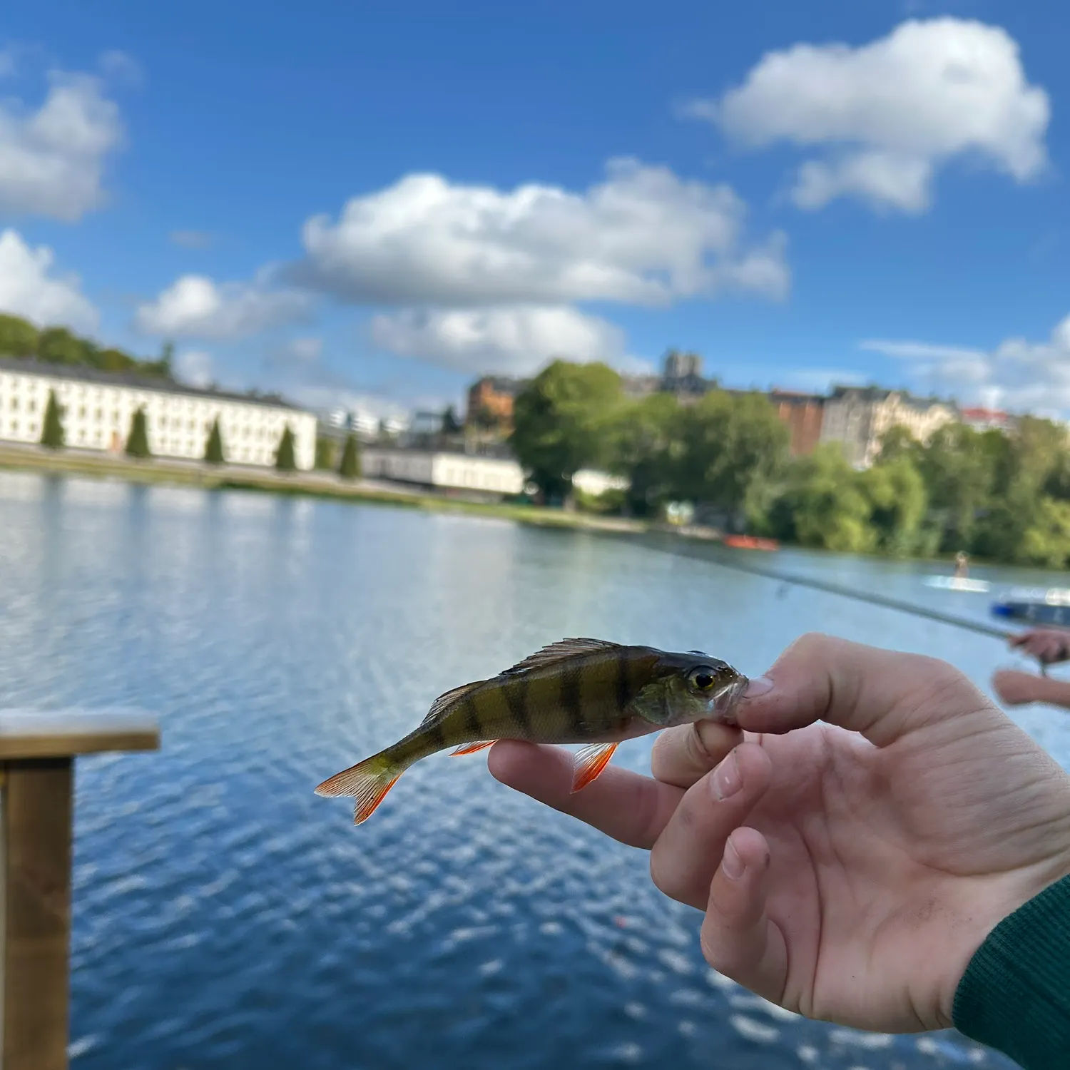 Fish caught on Fishbrain